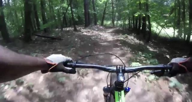 A close-up view of a mountain bike handlebars being ridden on a forest trail, surrounded by trees and foliage. The path appears to be dirt with some leaves scattered on it, indicating an outdoor biking adventure. Southside Park mountain bike trail.