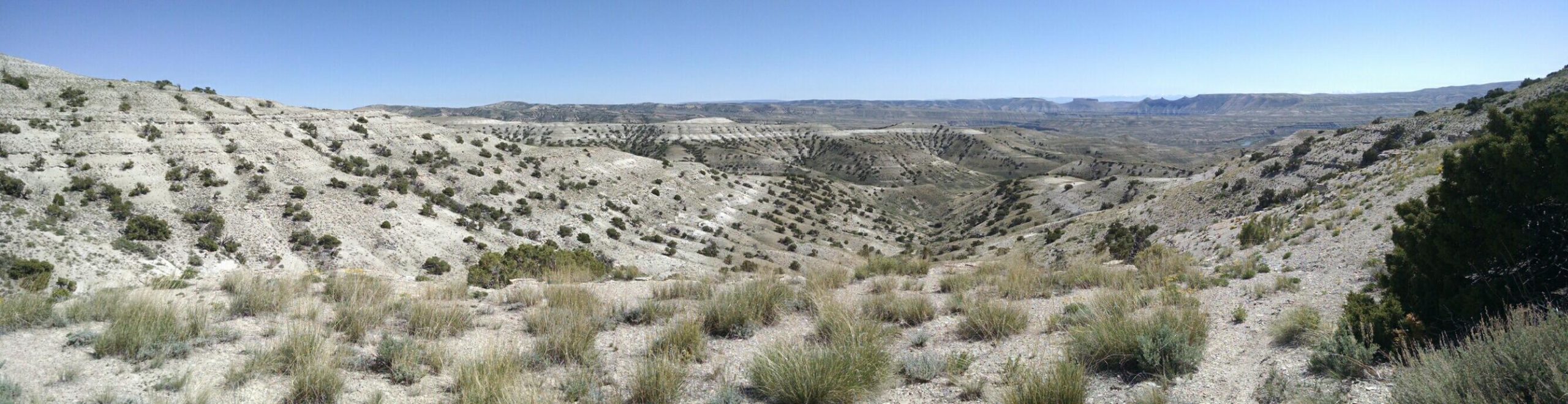 A panoramic view of a rugged landscape featuring gently sloping hills and sparse vegetation under a clear blue sky. The terrain is predominantly gray with patches of dry grass and scattered shrubs, creating a natural, arid scene. Rolling hills stretch into the distance, revealing a vast and open environment. Wilkins Peak Trails mountain bike trail.