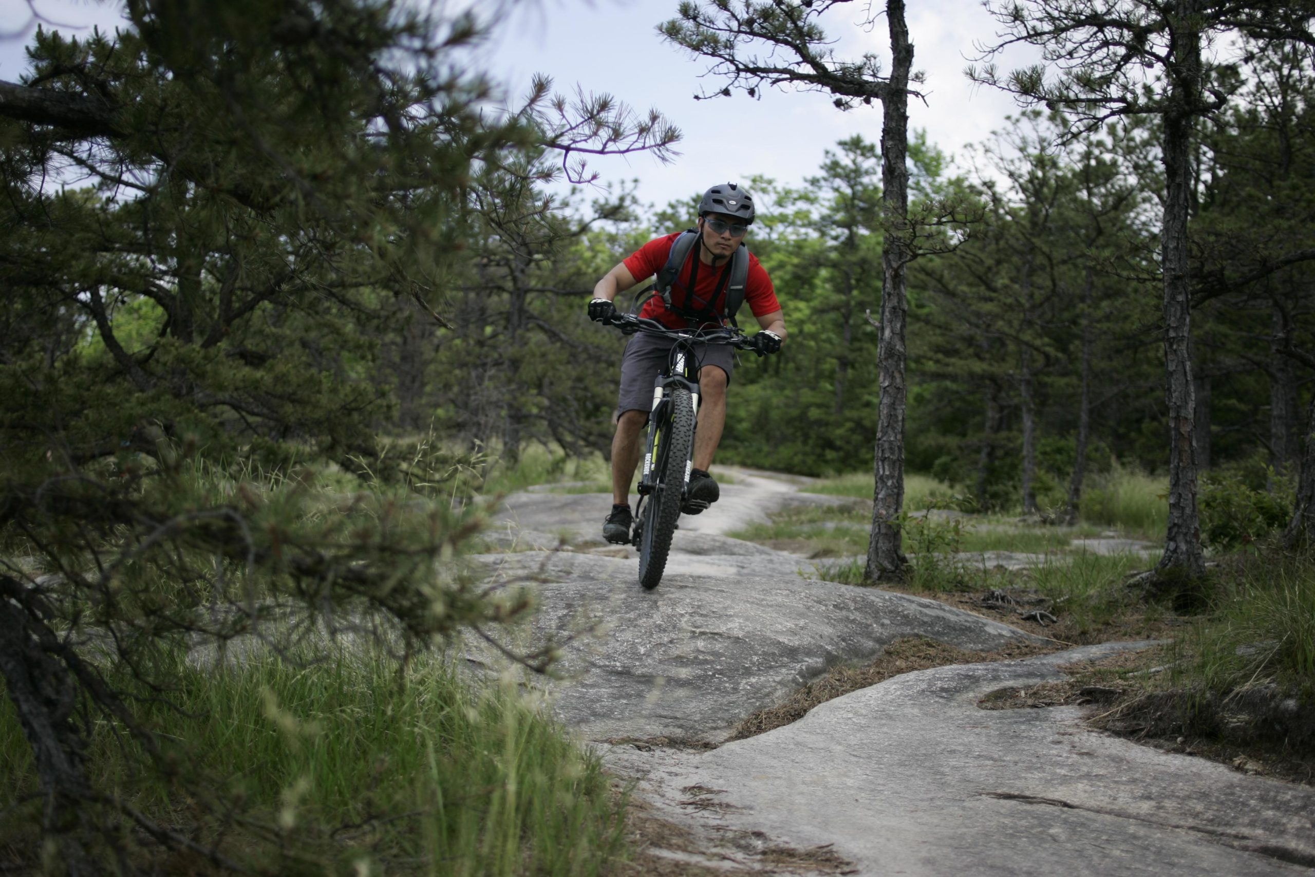 A mountain biker in a red shirt and helmet rides over a rocky trail surrounded by pine trees and grass. Big Rock Trail #3 mountain bike trail.