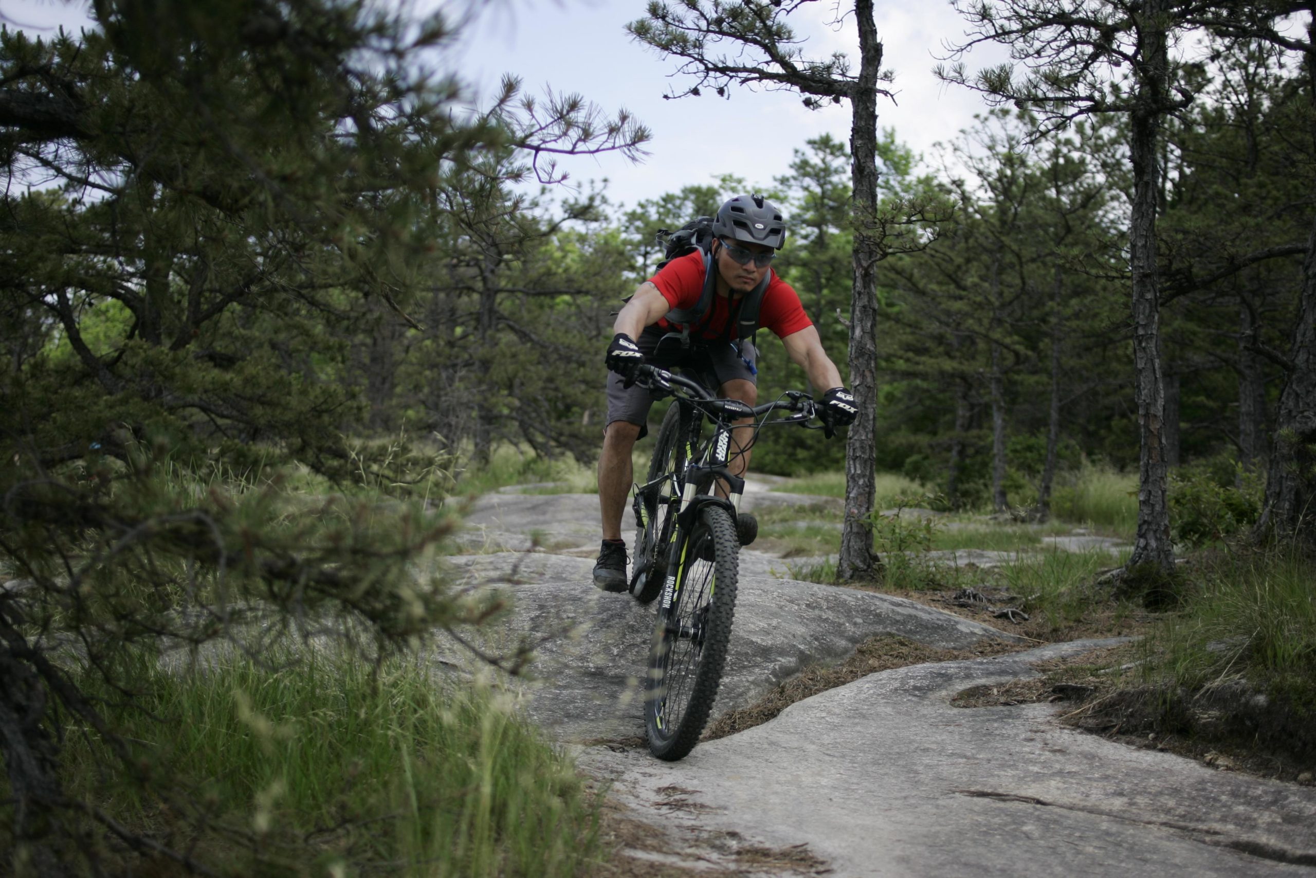 A mountain biker navigating a rocky trail through a forested area, wearing a helmet and red shirt. The scene is filled with trees and grass, showcasing a natural outdoor environment. Big Rock Trail #3 mountain bike trail.