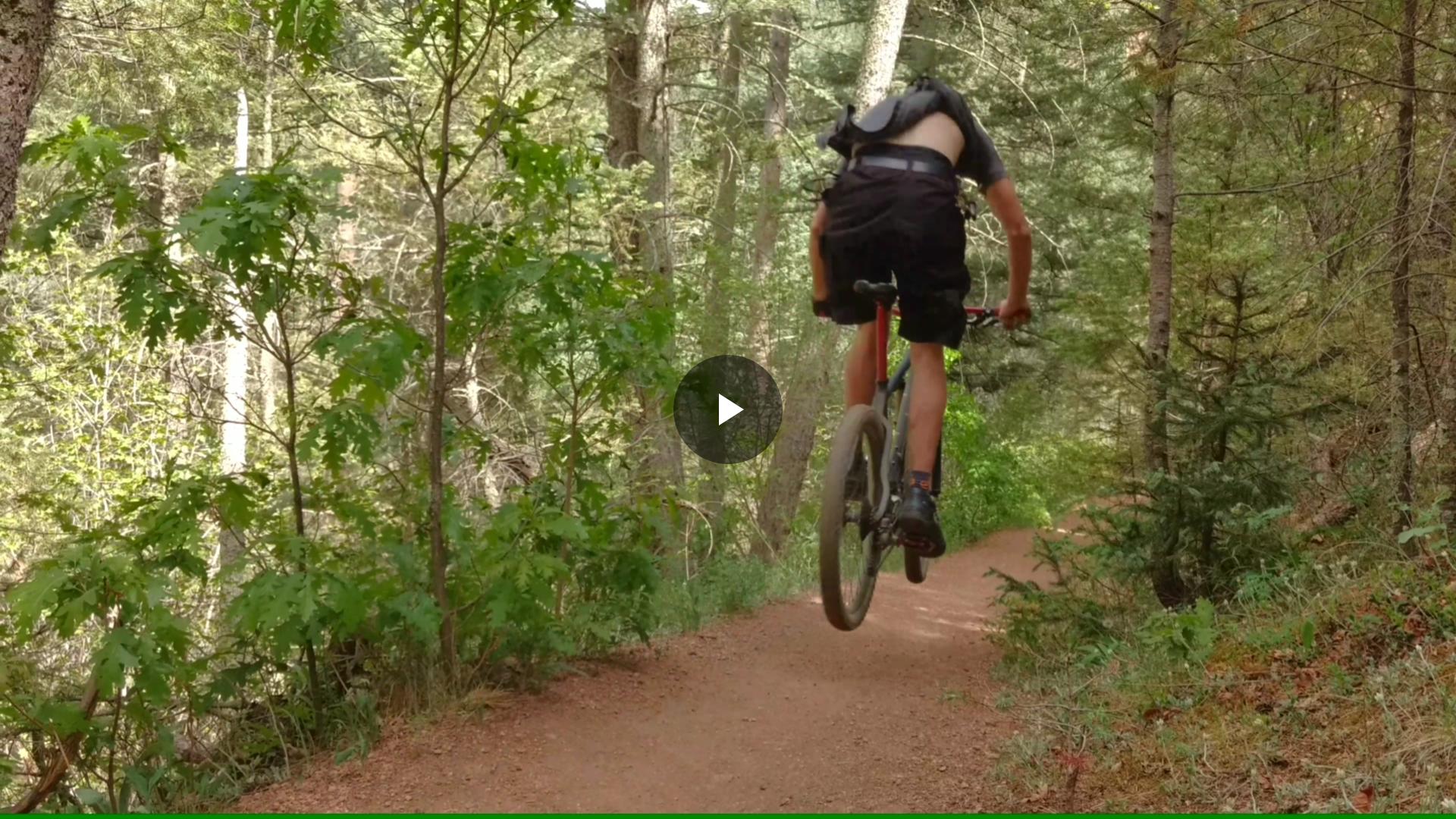 A mountain biker performing a jump on a dirt trail surrounded by lush greenery and tall trees. Palmer Trail / Section 16 mountain bike trail.