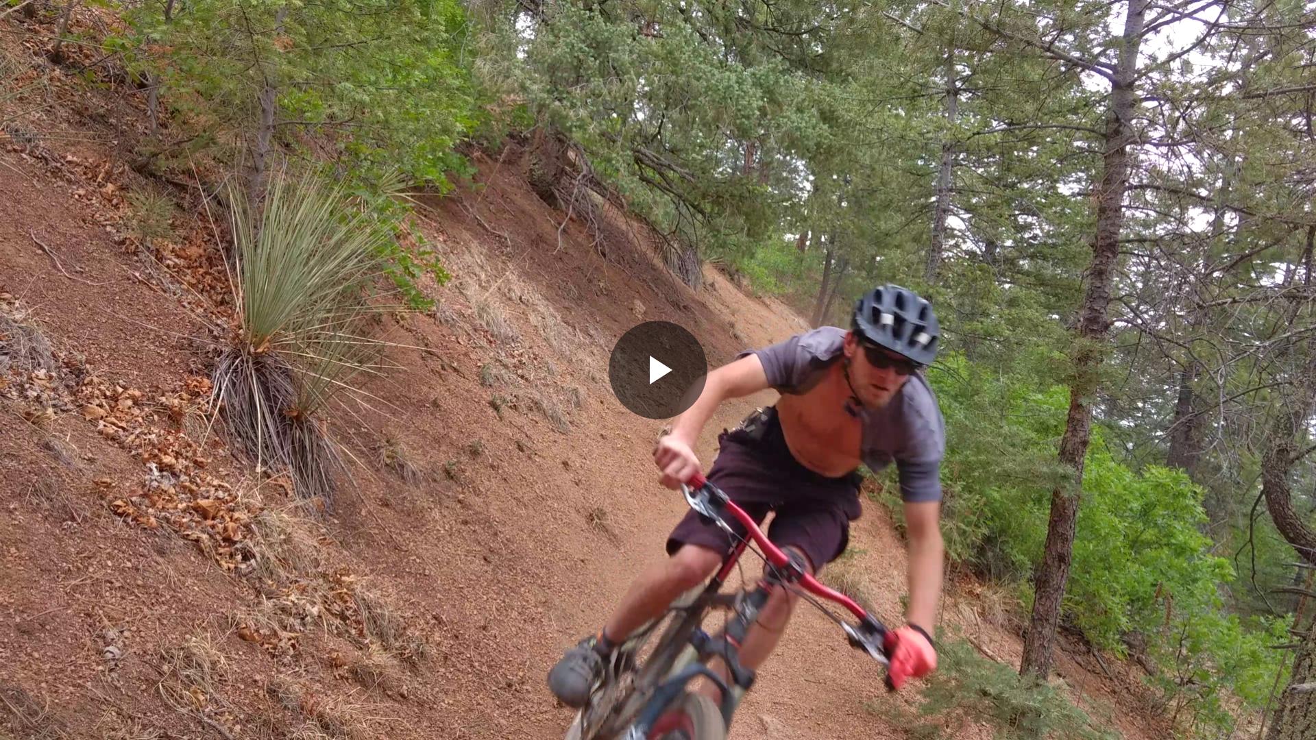 A mountain biker navigating a dirt trail in a forested area, leaning into a turn, surrounded by trees and greenery. The rider is wearing a helmet and sunglasses, illustrating an action-packed moment in the sport. Palmer Trail / Section 16 mountain bike trail.