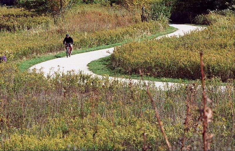A cyclist riding along a winding path through a lush, green landscape filled with wildflowers and tall grasses. The scene captures the tranquility of nature on a sunny day, with trees and bushes in the background. Springbrook Prairie Forest Preserve mountain bike trail.