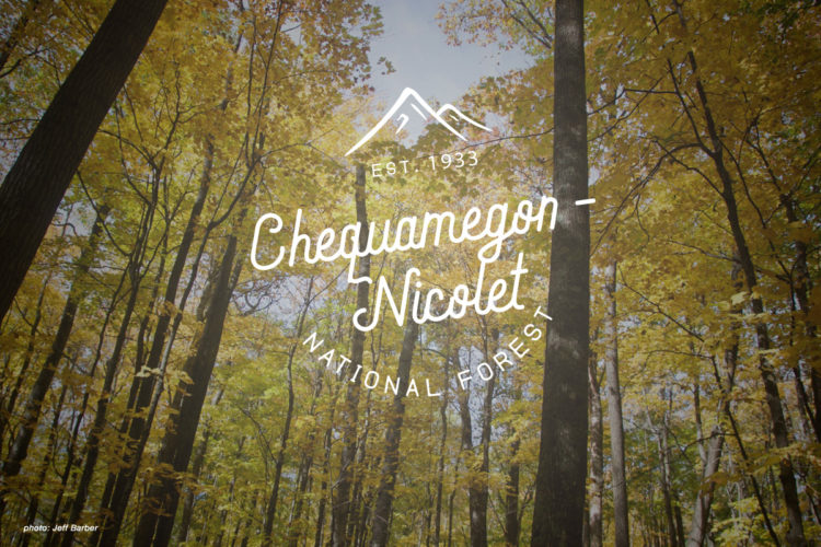 A scenic view of a forest with tall trees displaying vibrant yellow foliage under a bright sky, featuring the text "Chequamegon-Nicolet National Forest" along with the establishment year "EST. 1933."