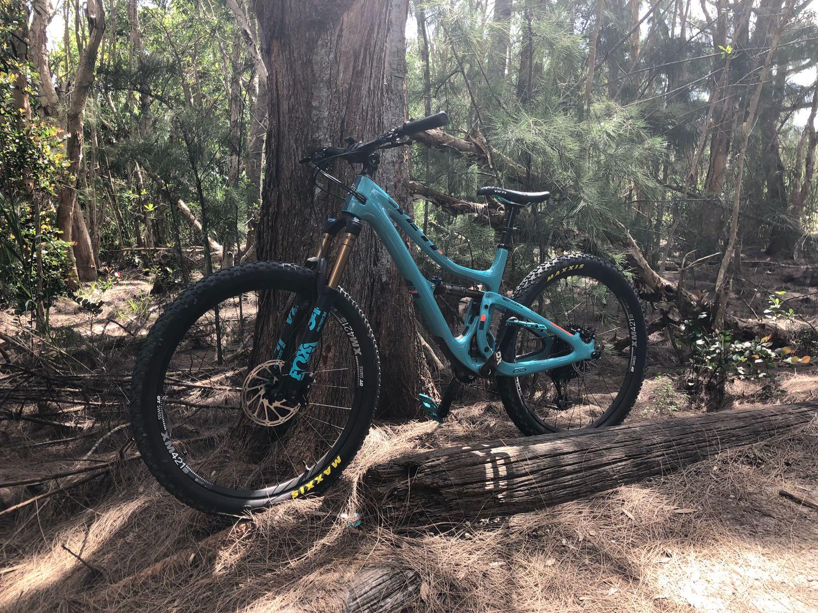 Yeti SB5: A turquoise mountain bike leaning against a tree in a forested area, surrounded by greenery and fallen logs, with sunlight filtering through the trees.