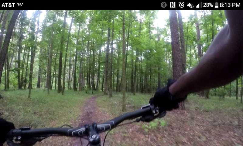A first-person view of a mountain biking trail winding through a lush green forest, with tree trunks on either side and a dirt path ahead. The image captures a hand gripping the handlebars of a bike, emphasizing the outdoor adventure. San Felasco Hammock Preserve mountain bike trail.