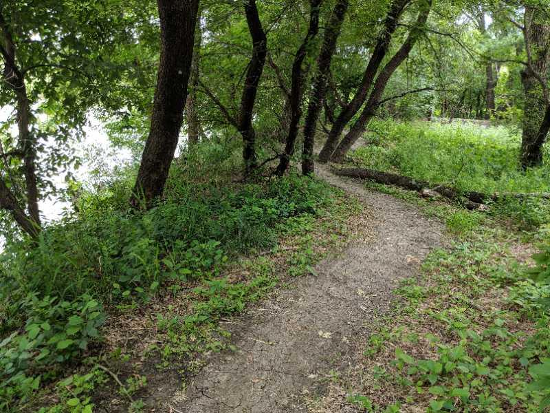 A winding dirt path surrounded by lush greenery and trees, leading through a tranquil, natural setting near water. The scene is serene with a mix of foliage and sunlight filtering through the leaves. Iwen park mountain bike trail.