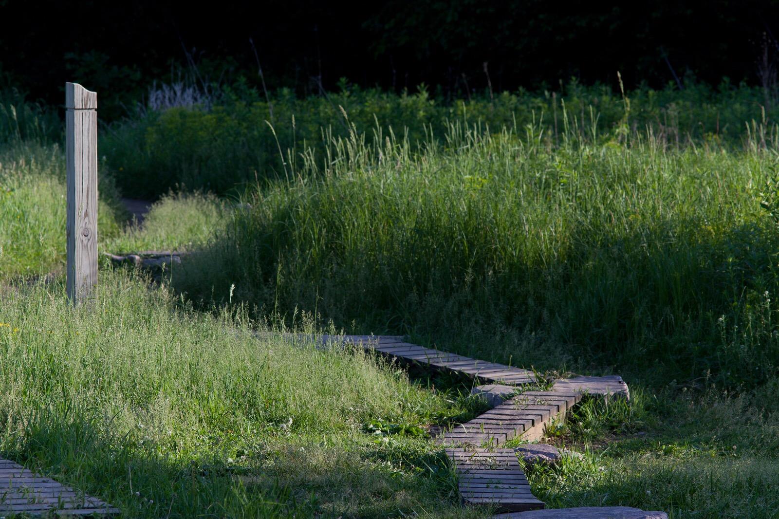 A wooden post stands beside a winding path made of wooden planks, surrounded by tall grasses and greenery. The scene is set in a natural area, with lush vegetation framing the path that leads into the distance, partially shaded by surrounding trees. Lebanon Hills mountain bike trail.