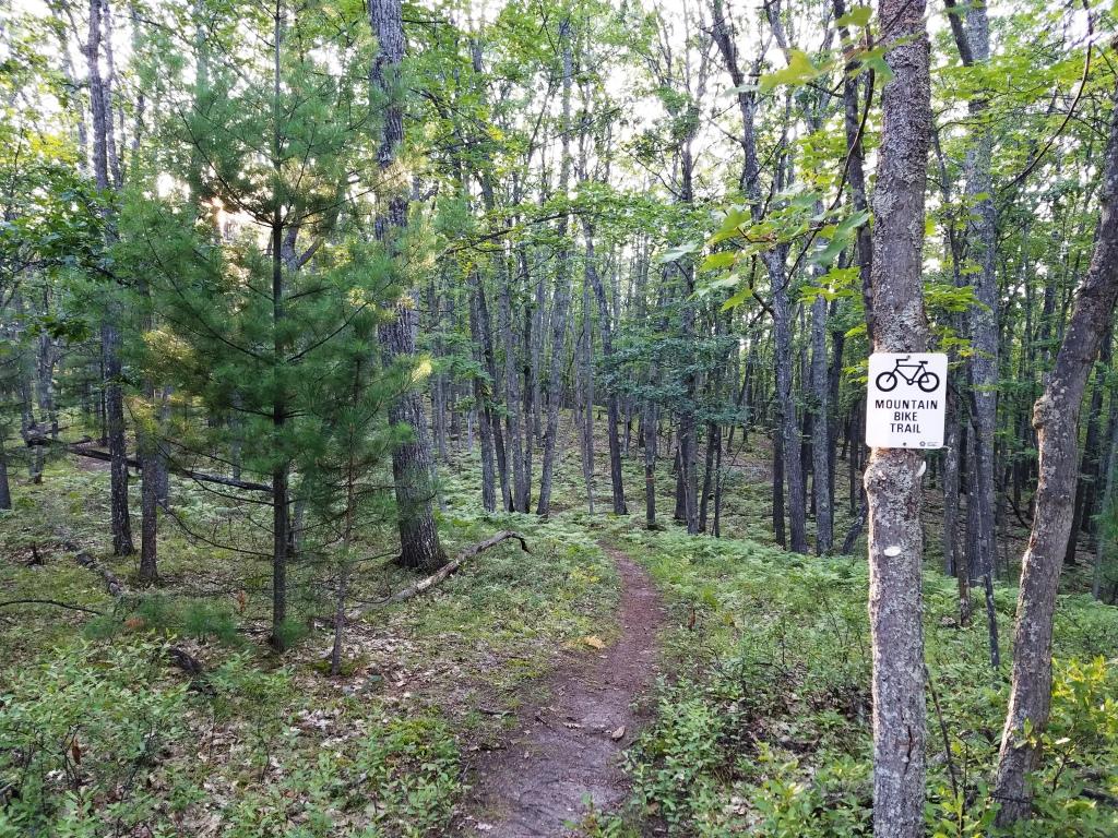 A narrow dirt mountain bike trail winding through a lush green forest, with tall trees and undergrowth. A sign indicating "Mountain Bike Trail" is attached to a tree on the right side of the path. Soft sunlight filters through the leaves, creating a serene outdoor atmosphere. Hanson Hills mountain bike trail.