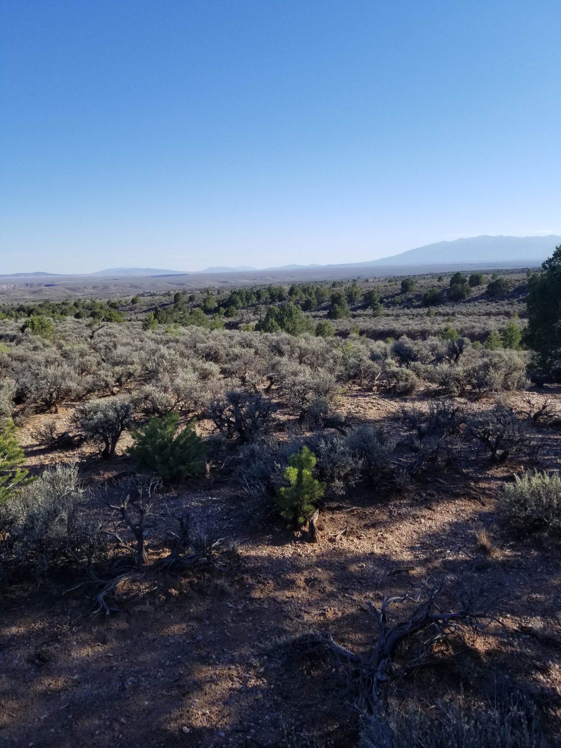 A panoramic view of a desert landscape featuring sparse vegetation, including low shrubs and scattered trees, under a clear blue sky. The terrain is mostly flat with some distant mountains visible on the horizon. Taos Valley Overlook mountain bike trail.