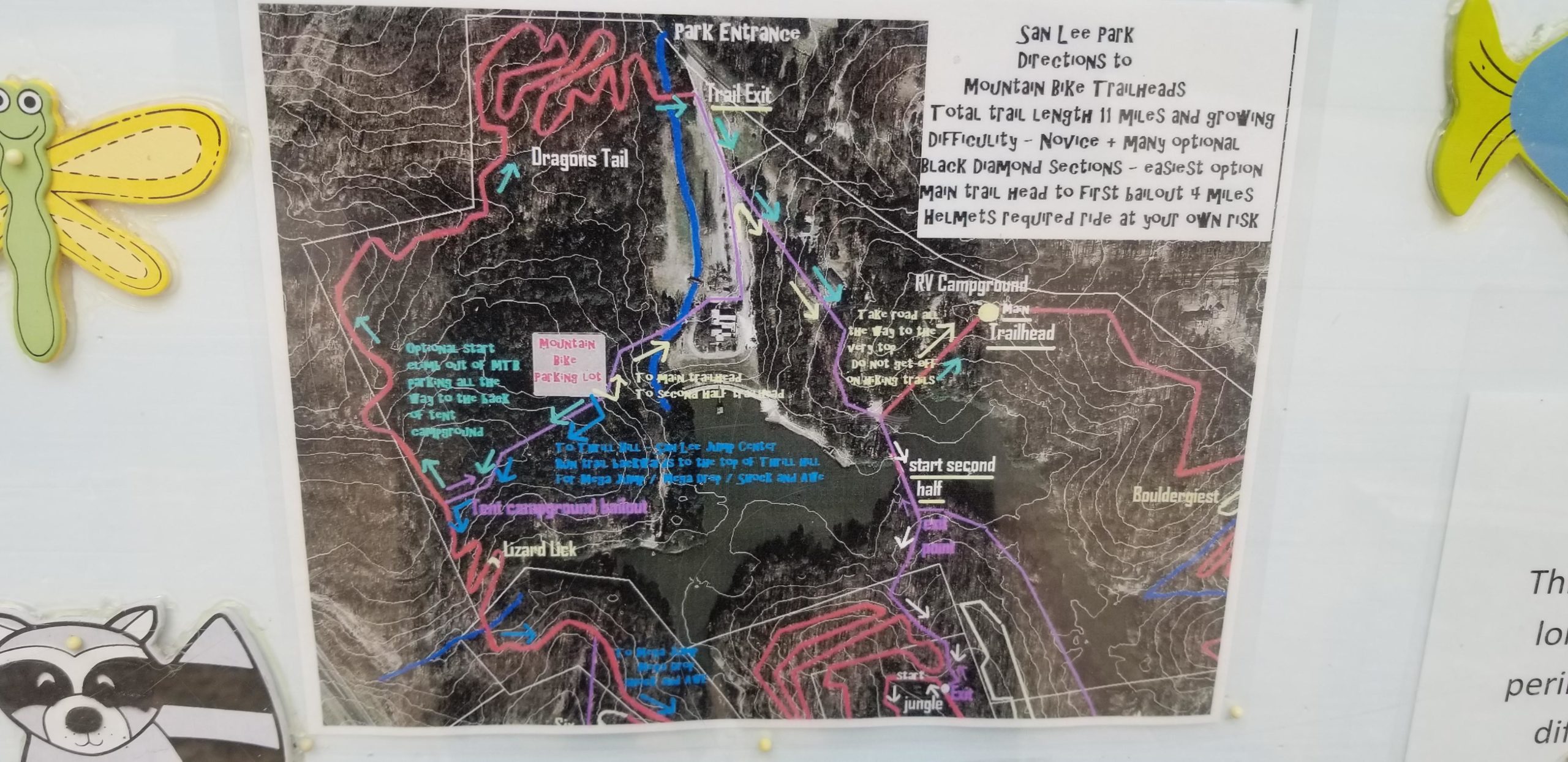 Map of San Lee Park with directions to mountain bike trailheads, highlighting various trails, including "Dragons Tail" and sections designated as black diamond. The map notes total trail length, difficulty levels, and safety reminders, including the requirement of wearing helmets while riding. Surrounding the map are decorative elements such as cartoon insects and a raccoon illustration. San-lee Park mountain bike trail.