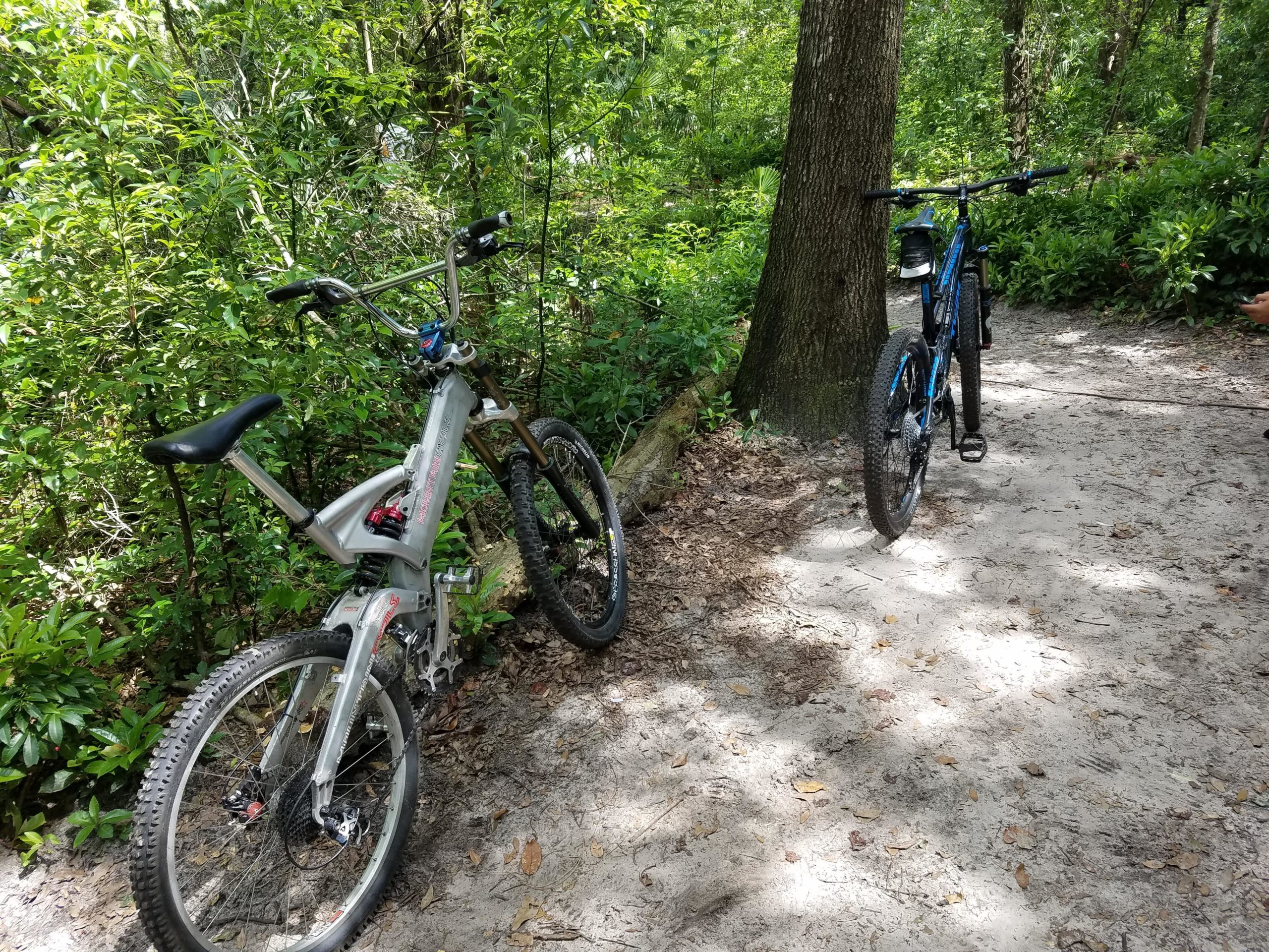 Two mountain bikes are parked on a dirt path surrounded by lush green foliage and trees. The bike on the left is silver with distinctive suspension features, while the one on the right is blue with a water bottle attached. The scene captures a serene moment in nature, ideal for outdoor biking enthusiasts. Mount Dora Trail mountain bike trail.