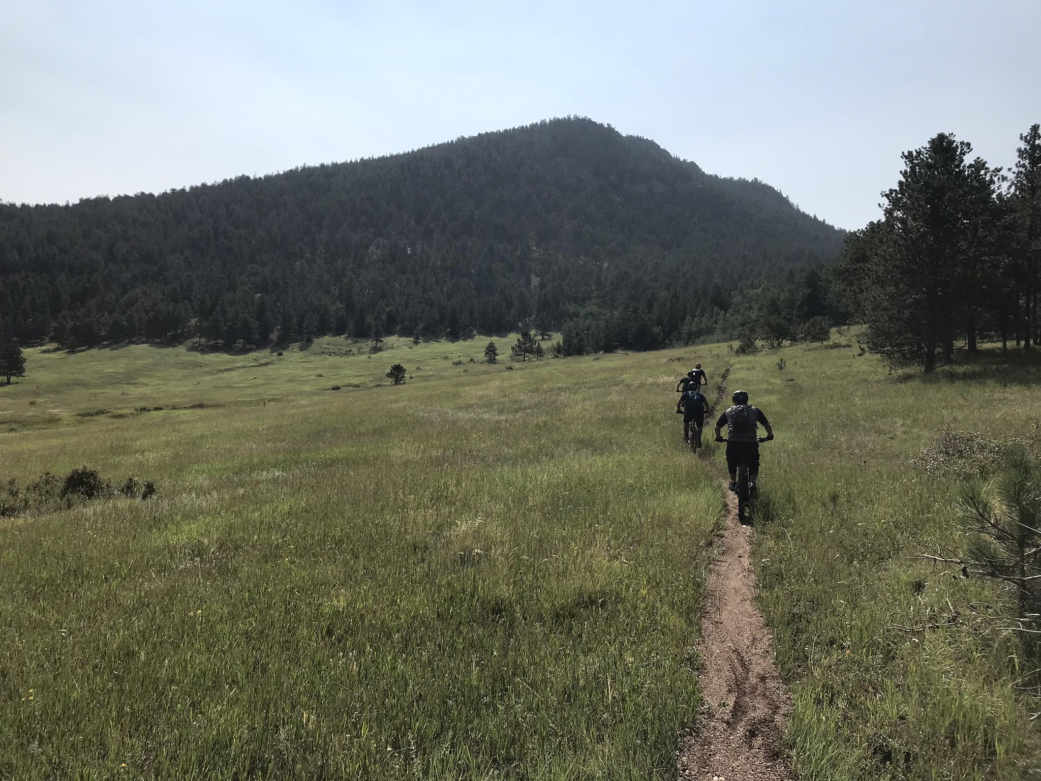 Three mountain bikers ride along a dirt path through a grassy meadow, with a dense forest and a mountain in the background under a hazy sky. Crosier Mountain mountain bike trail.