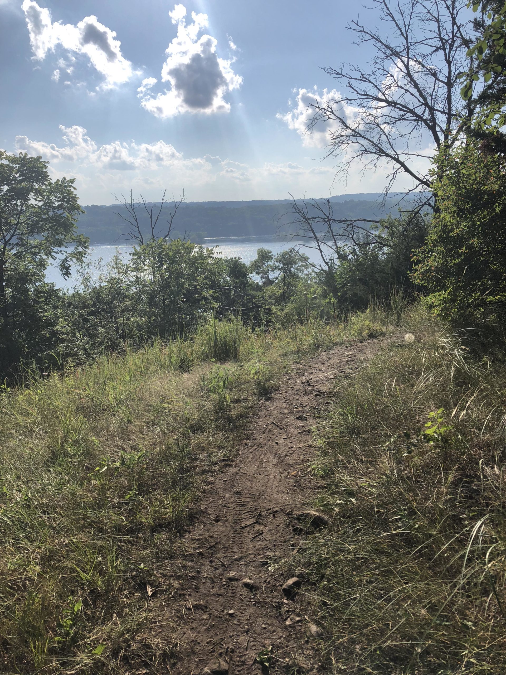 A dirt path winding through tall grass and shrubs, leading toward a view of a river and distant hills under a partly cloudy sky. Sunlight streams through the clouds, creating a serene and peaceful outdoor scene. Birkmose Bluff mountain bike trail.