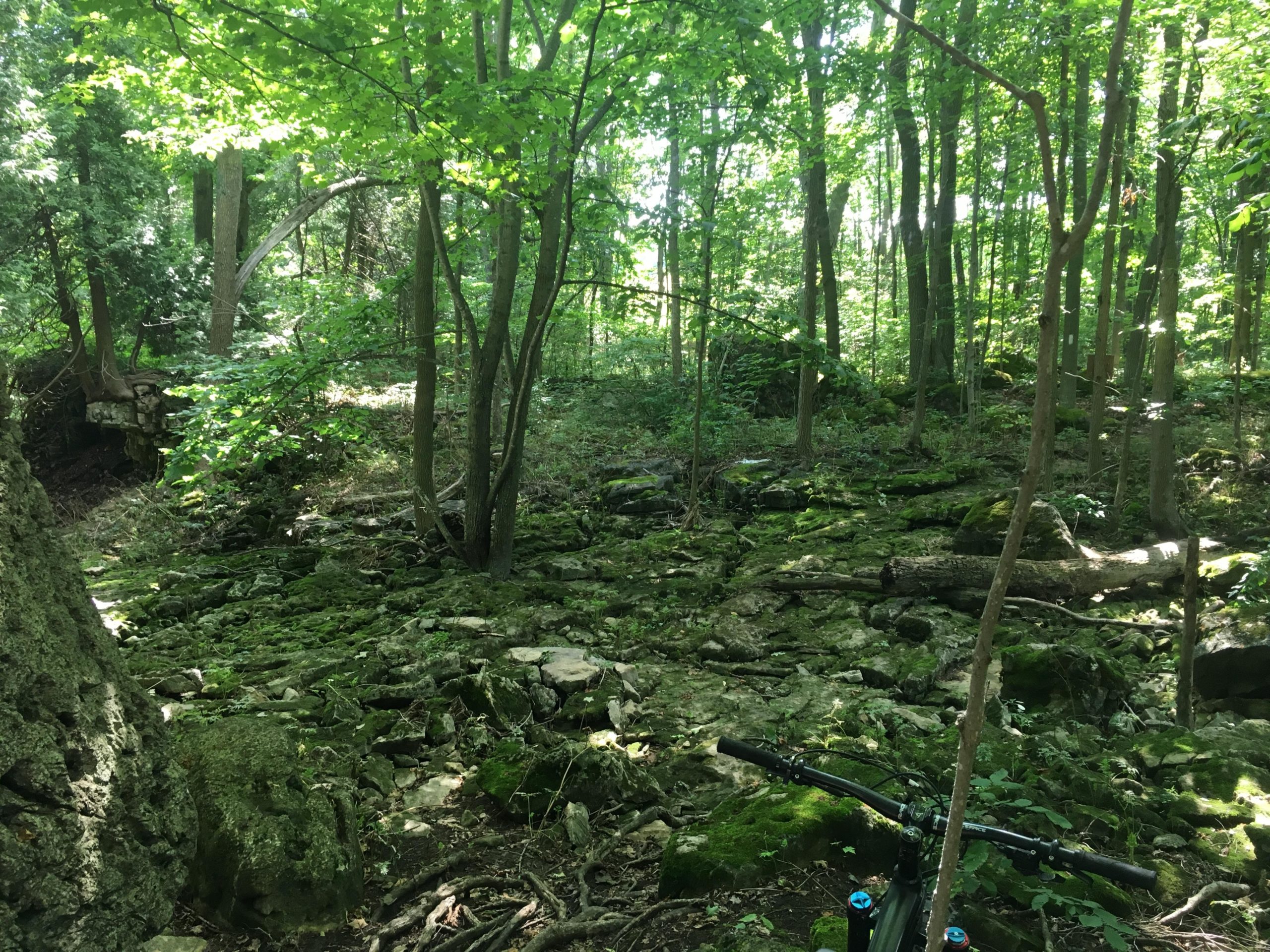 A lush green forest scene featuring a rocky, moss-covered ground. Tall trees with bright green leaves filter sunlight onto the forest floor, creating a serene atmosphere. In the foreground, part of a mountain bike is visible, hinting at exploration in this natural setting. Inglis falls West rock mountain bike trail.