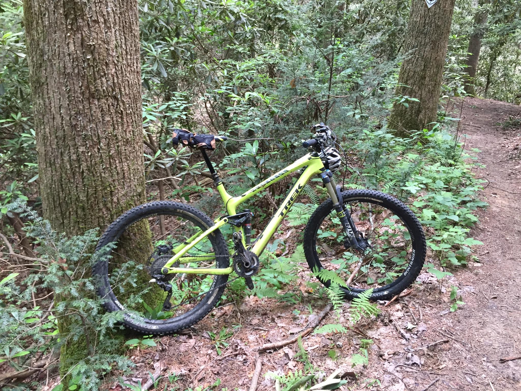Trek Fuel EX 9.8: A bright yellow mountain bike leaning against a tree in a lush green forest. Surrounding the bike are various plants and foliage, with a dirt path visible in the background.