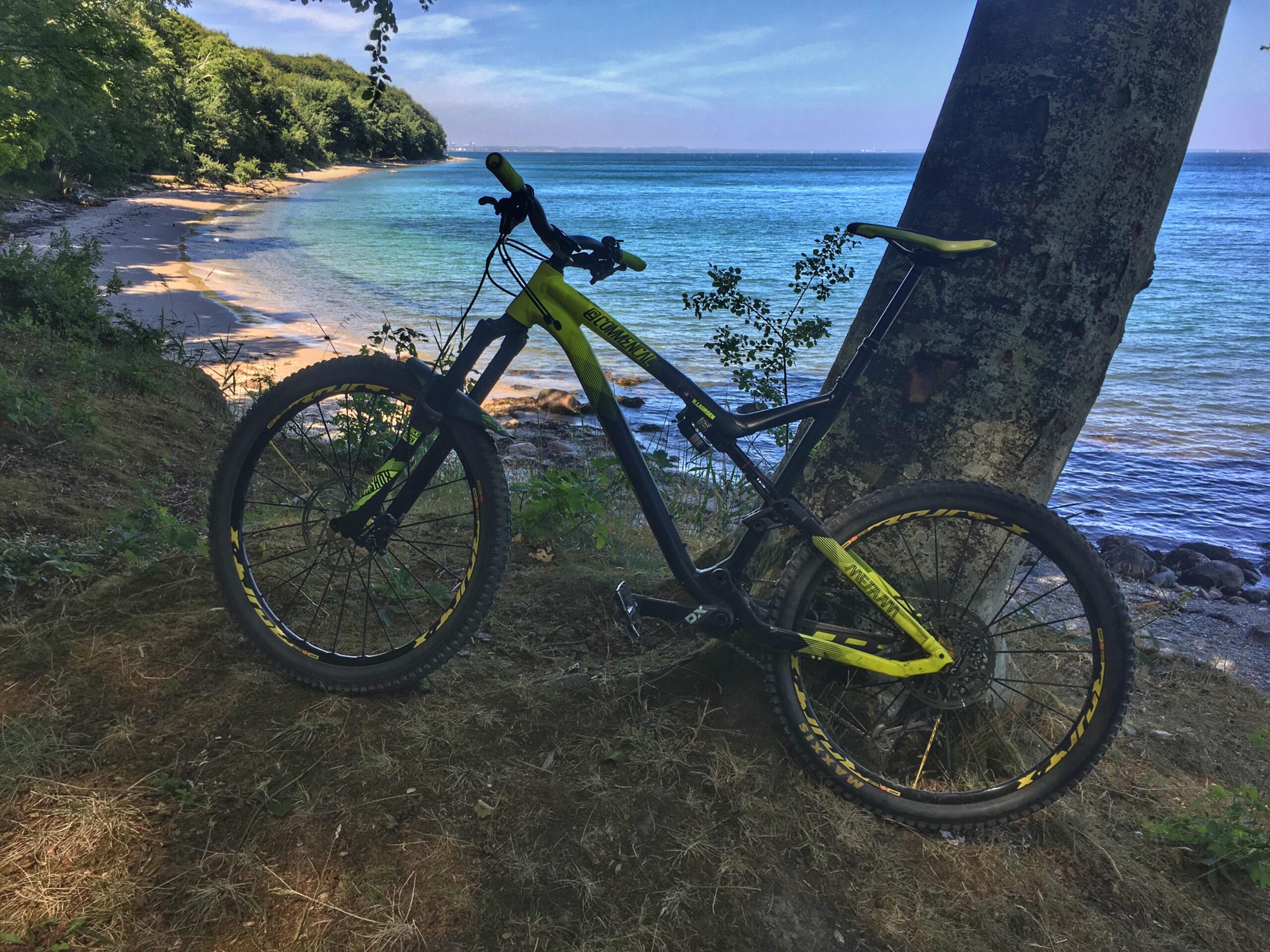 Commencal Meta AM V4: A mountain bike leaning against a tree near a serene beach, with sandy shores and clear blue water in the background. Lush green foliage surrounds the area, creating a peaceful outdoor setting.