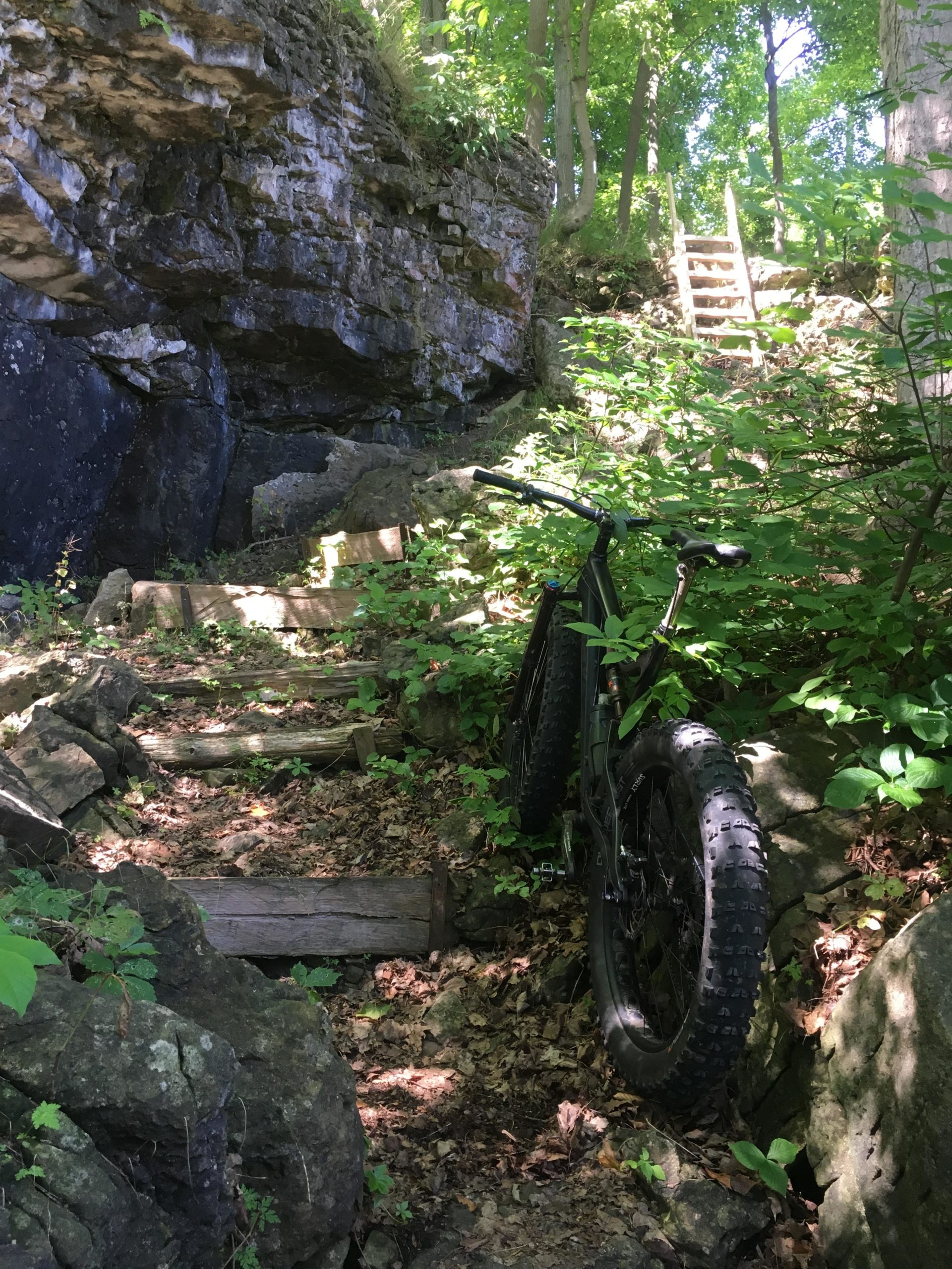 A fat tire bike resting against a rock formation on a wooded trail, surrounded by green foliage and shaded by trees. A set of wooden stairs leads up the rocky path in the background. Inglis falls West rock mountain bike trail.
