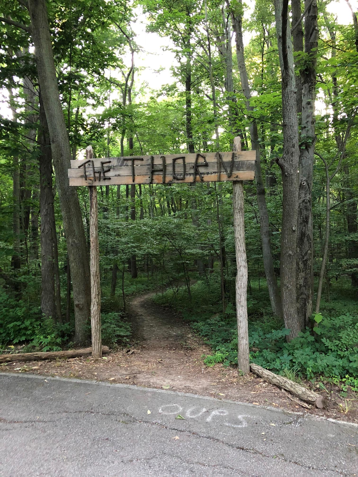 A wooden sign reading "THE THORN" stands at the entrance of a tree-lined path leading into a dense, green forest. The ground is a mix of dirt and gravel, with a trail winding into the trees. The surrounding area is lush with greenery, including various trees and underbrush, creating a serene, natural setting. The word "OURS" is faintly scrawled on the pavement nearby. Findley State Park mountain bike trail.