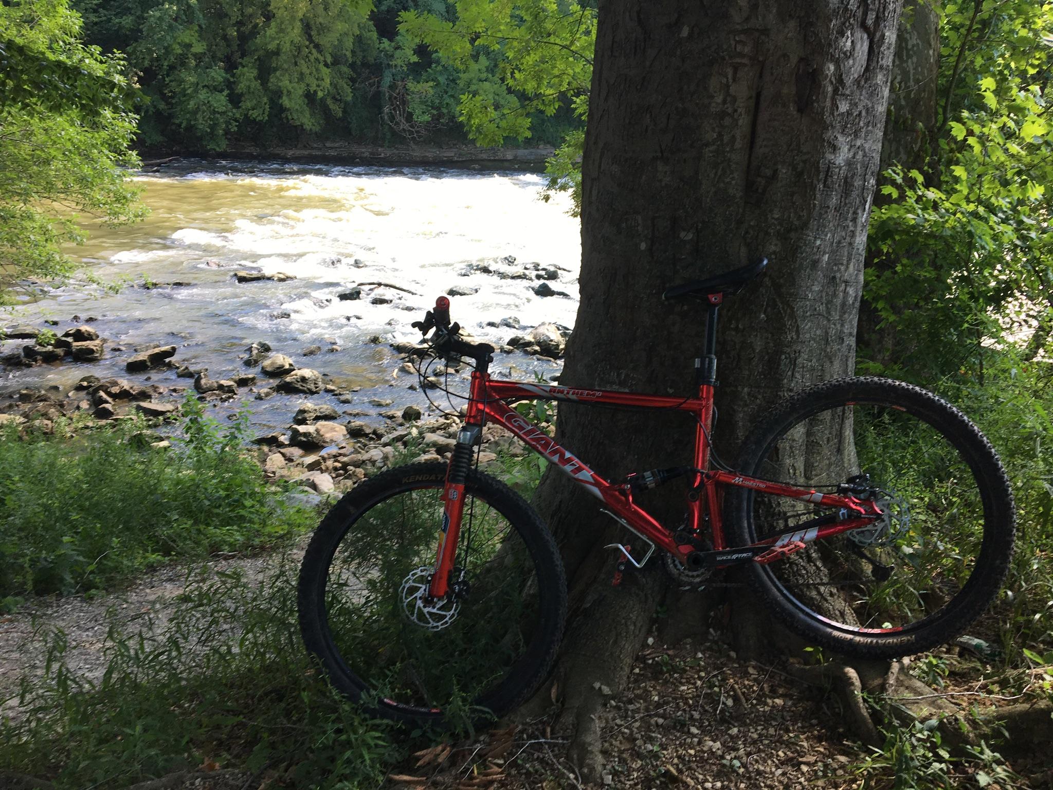 A red mountain bike resting against a tree, with a river and rocky shore visible in the background, surrounded by lush greenery. Low Hollow mountain bike trail.