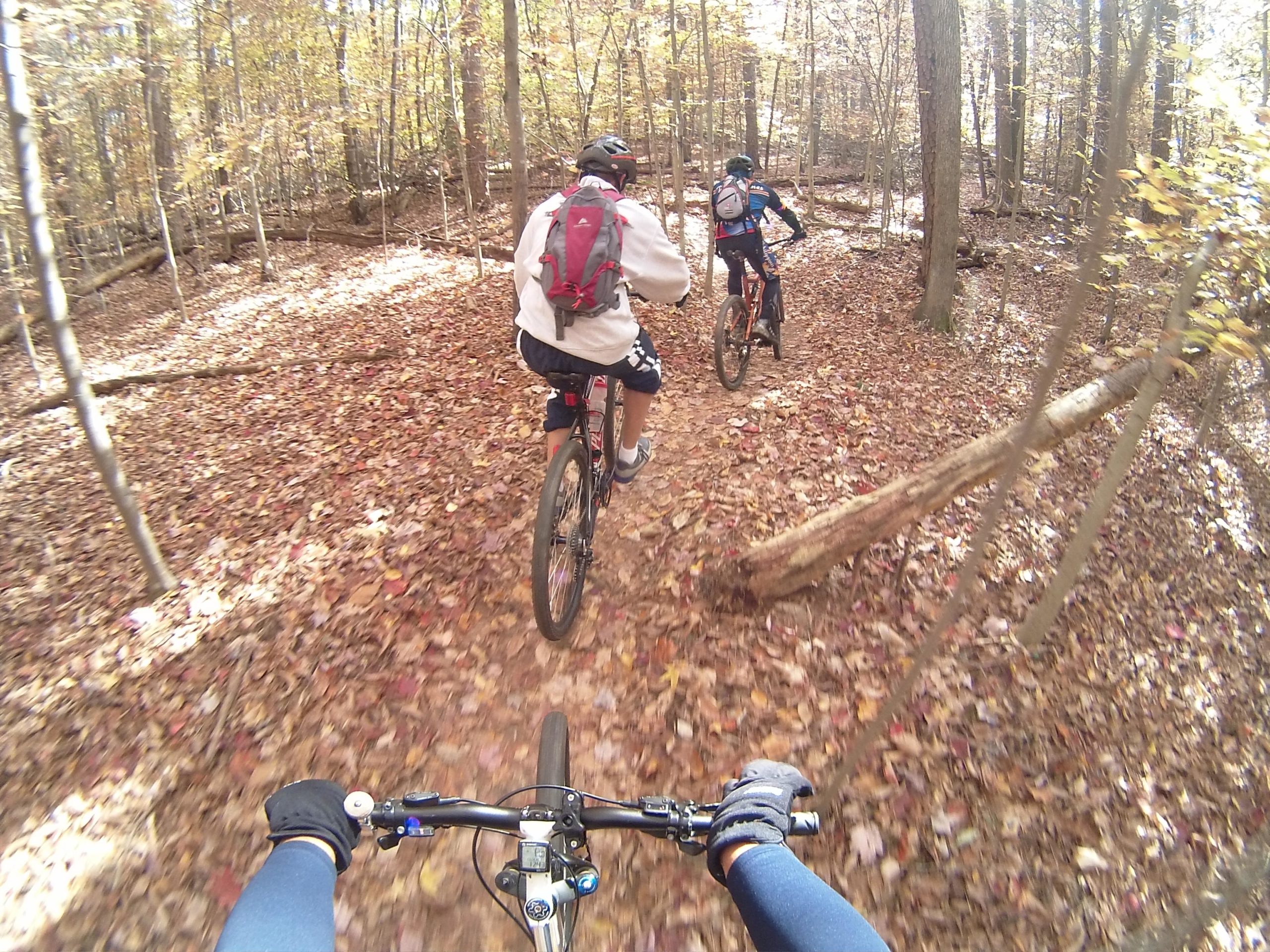 Two mountain bikers ride along a forest trail covered with colorful autumn leaves. The scene captures a sunny day in a wooded area, showcasing trees with varying shades of green and yellow. One biker wears a red backpack, while the other is in a blue jersey. The perspective includes the handlebars of a bike in the foreground, emphasizing the action of riding through nature. Wild Turkey mountain bike trail.