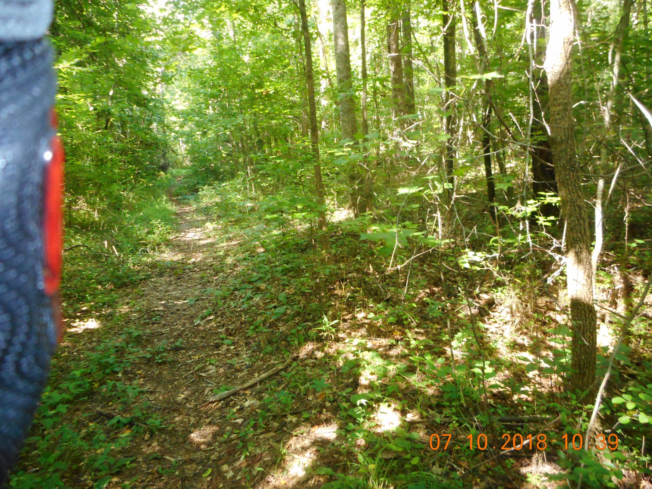 A narrow dirt path winding through a lush green forest, surrounded by tall trees and dense underbrush. Sunlight filters through the leaves, casting dappled shadows on the ground. The edge of an object, possibly a backpack or clothing, is partially visible on the left side of the image. Yellow River mountain bike trail.