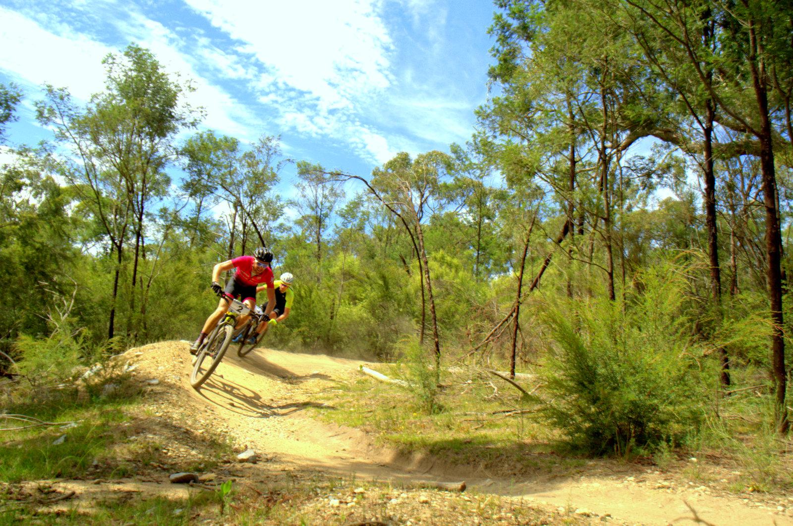 Two mountain bikers navigating a dirt trail in a lush forest. The rider in the foreground wears a red shirt, while the one in the background is in black. Sunlight filters through the trees, illuminating the dusty trail as the bikers lean into a turn. Lysterfield Mountain Bike Area mountain bike trail.