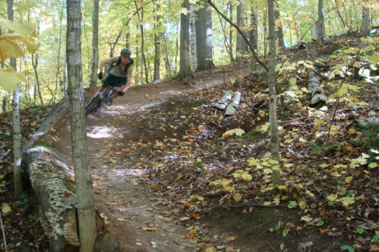 A mountain biker leans into a turn on a dirt trail surrounded by trees adorned with vibrant autumn leaves. The scene showcases the natural beauty of a forested landscape as the rider navigates through the greenery and fallen leaves.