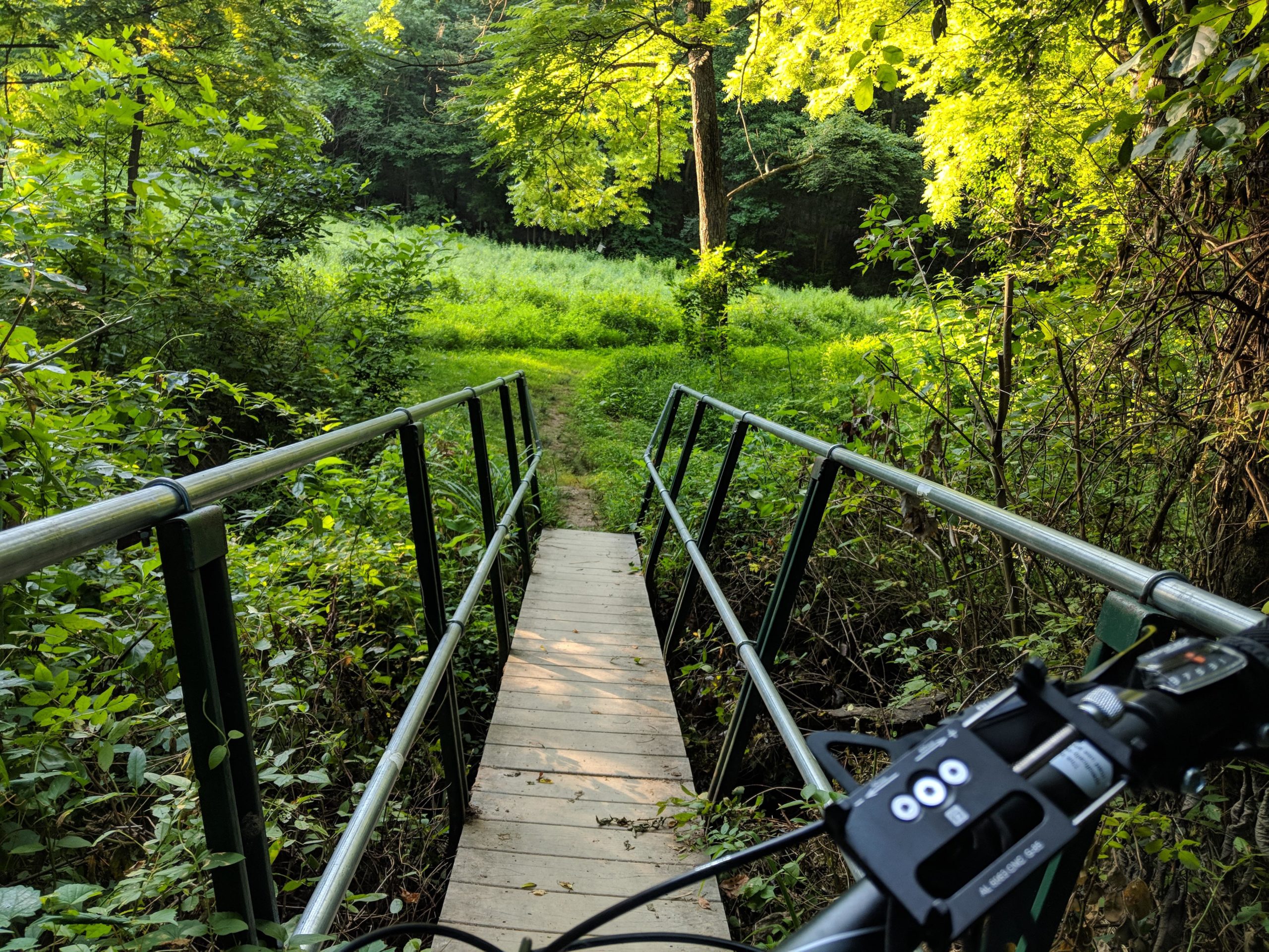 A narrow wooden bridge surrounded by lush green foliage, leading towards a vibrant meadow. In the foreground, part of a bicycle's handlebars and control panel are visible. The scene conveys a peaceful natural setting ideal for outdoor activities. Hashawha mountain bike trail.