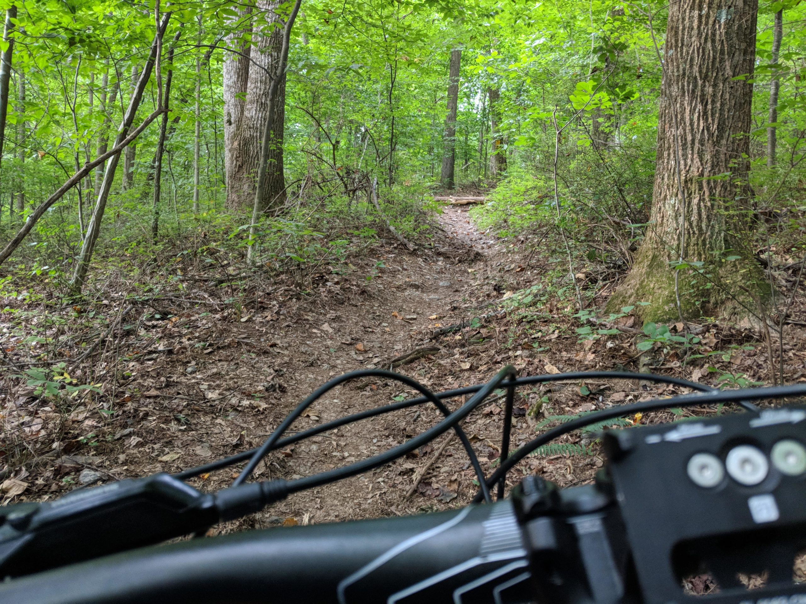 A view of a dirt bike trail surrounded by dense green foliage and trees, taken from the perspective of a mountain bike's handlebars. The path appears narrow and natural, with scattered leaves along the ground, suggesting a serene outdoor setting for biking. Hashawha mountain bike trail.