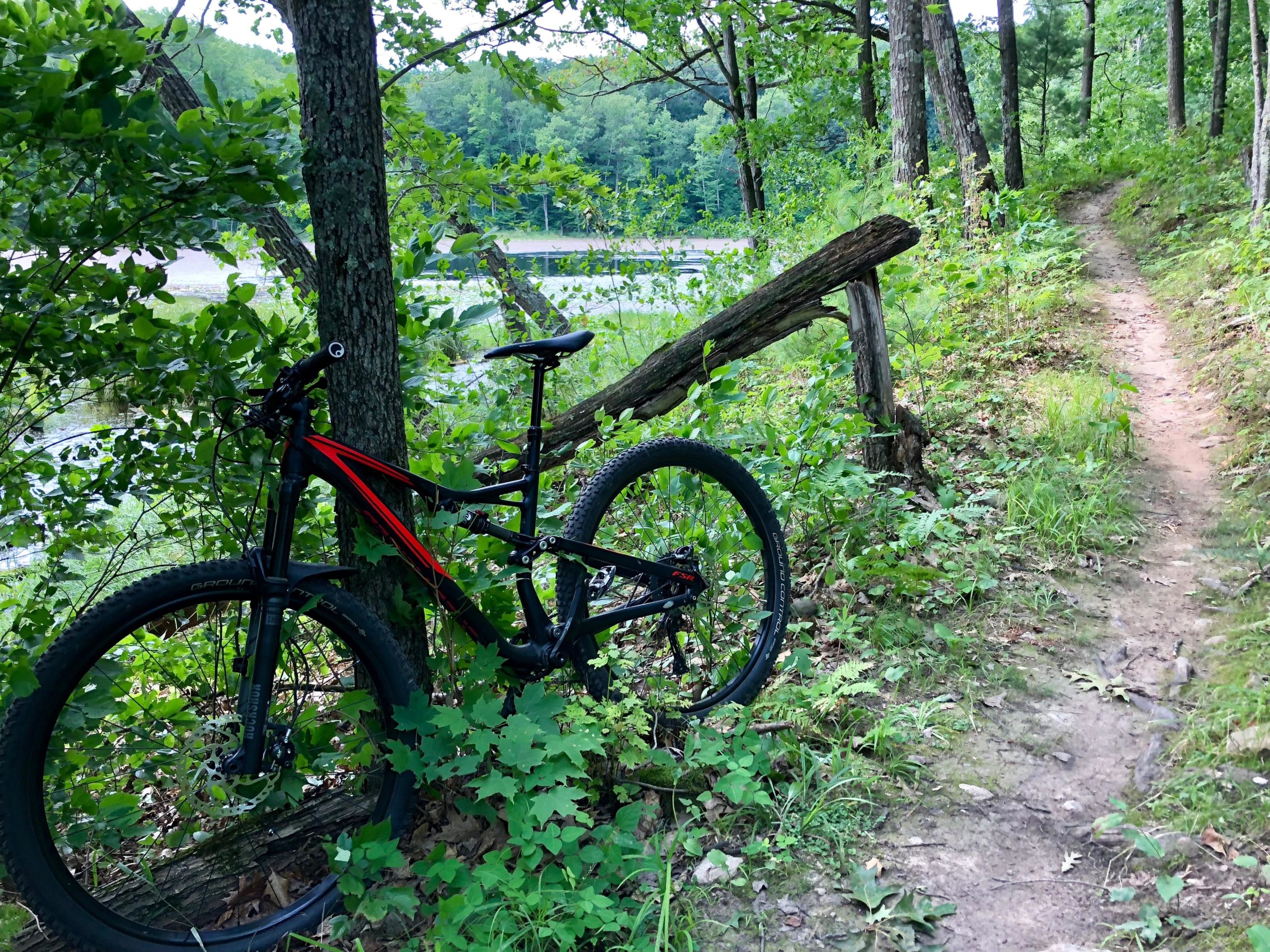 A mountain bike leaning against a tree beside a dirt trail surrounded by greenery, with a lake visible in the background. Hickory Ridge mountain bike trail.