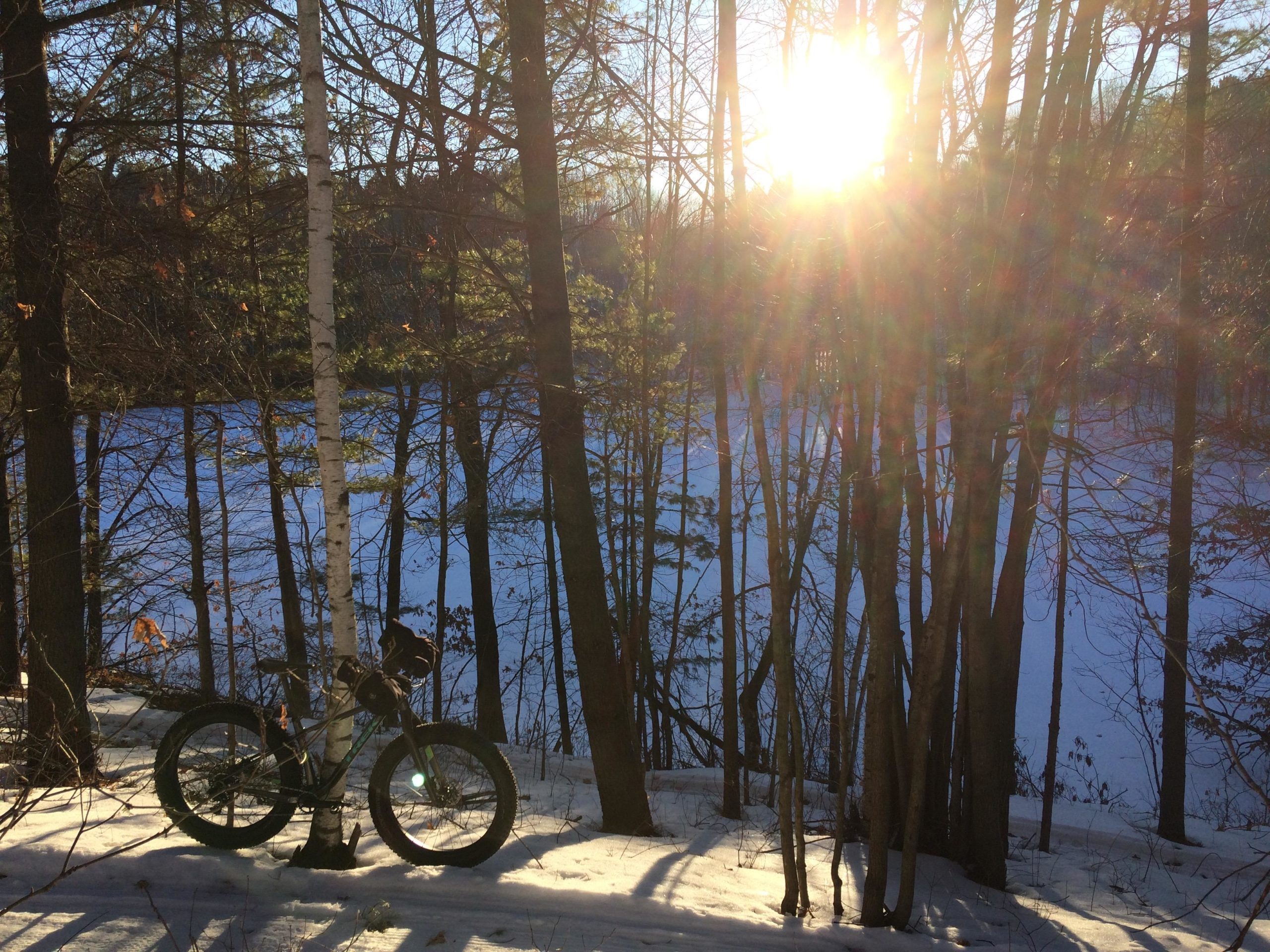 A mountain bike leaning against a birch tree in a snowy forest, with a frozen lake visible in the background and the sun shining brightly through the trees, creating a warm glow. Hickory Ridge mountain bike trail.