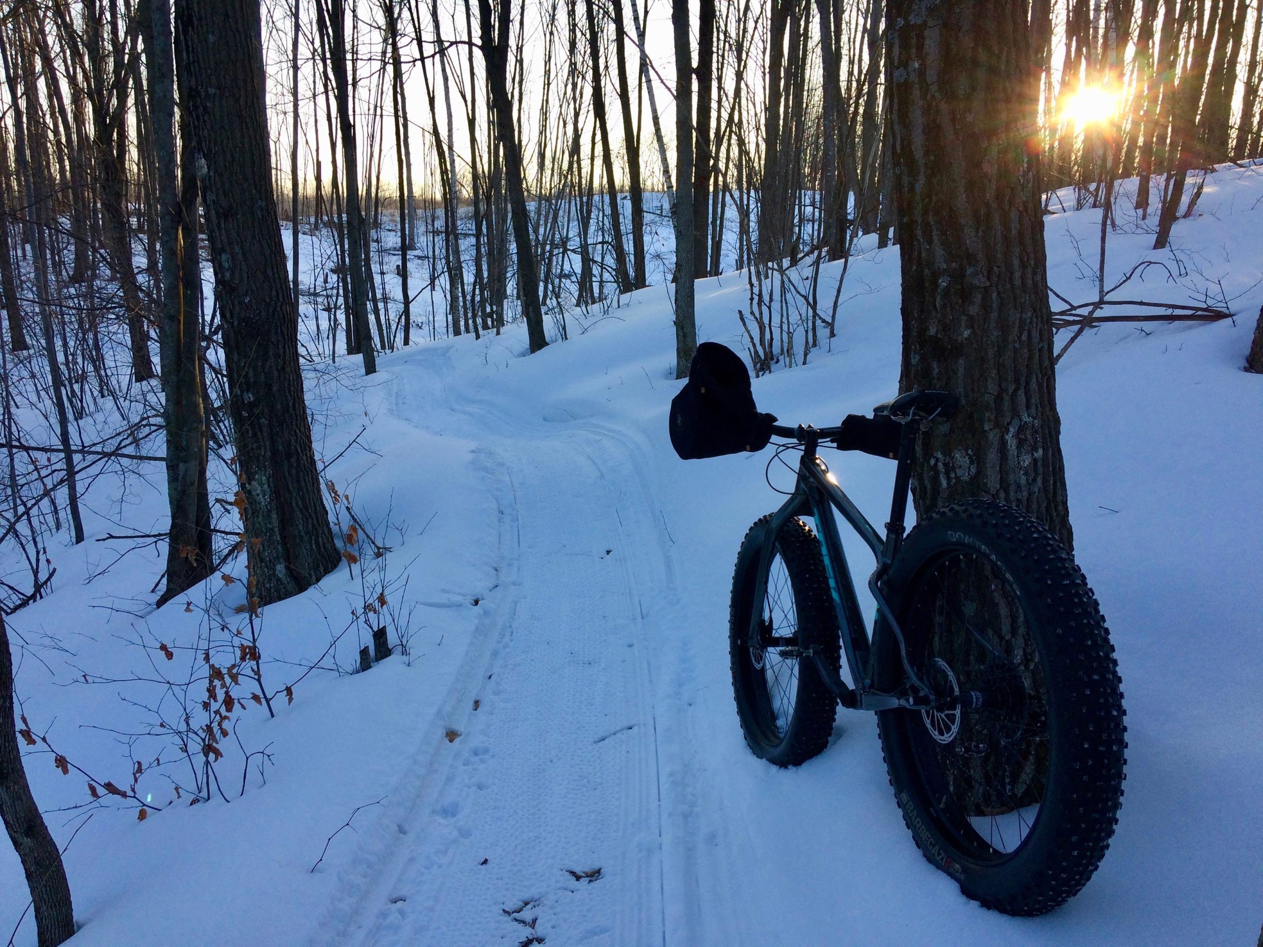 A fat bike leaning against a tree on a snowy path in a forest during sunset, with the sun's rays shining through the trees and illuminating the snow-covered ground. Hickory Ridge mountain bike trail.
