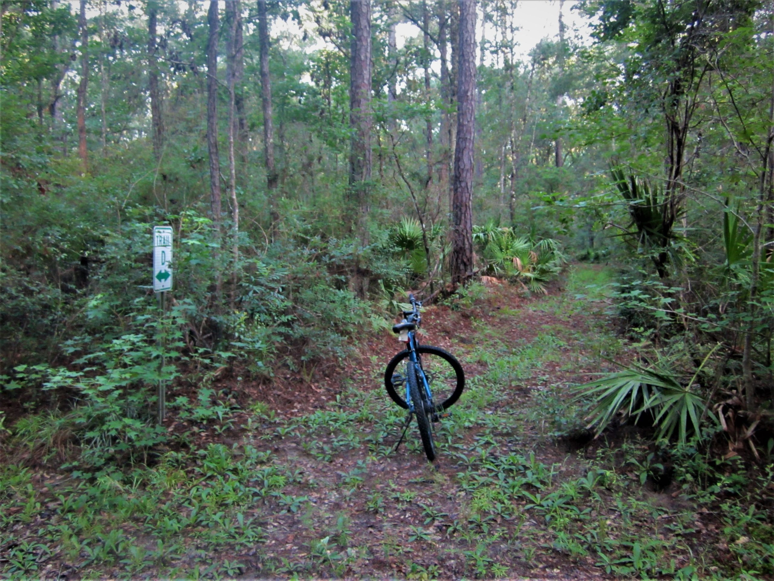 A mountain bike rests on a dirt path surrounded by dense greenery and tall trees in a forested area. A trail sign is visible on the left, indicating directions for bikers. Langdale Park Trail System mountain bike trail.
