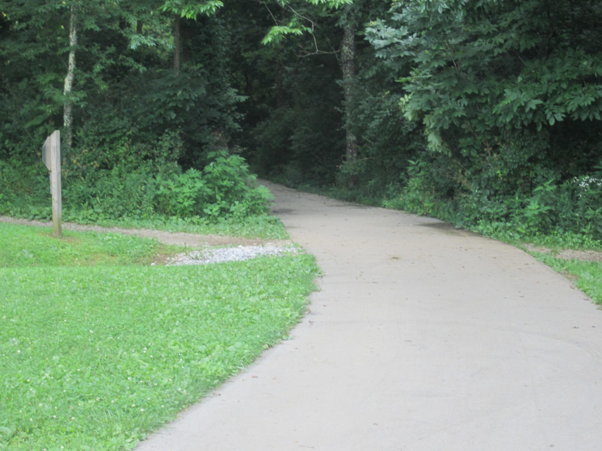 A pathway curving through a greenery-filled area, leading into a dense forest. The path is mostly paved, with a dirt trail branching off to the left. Lush grass and vegetation are visible alongside the walkway, and a wooden signpost stands near the junction of the two paths. Veterans Park mountain bike trail.