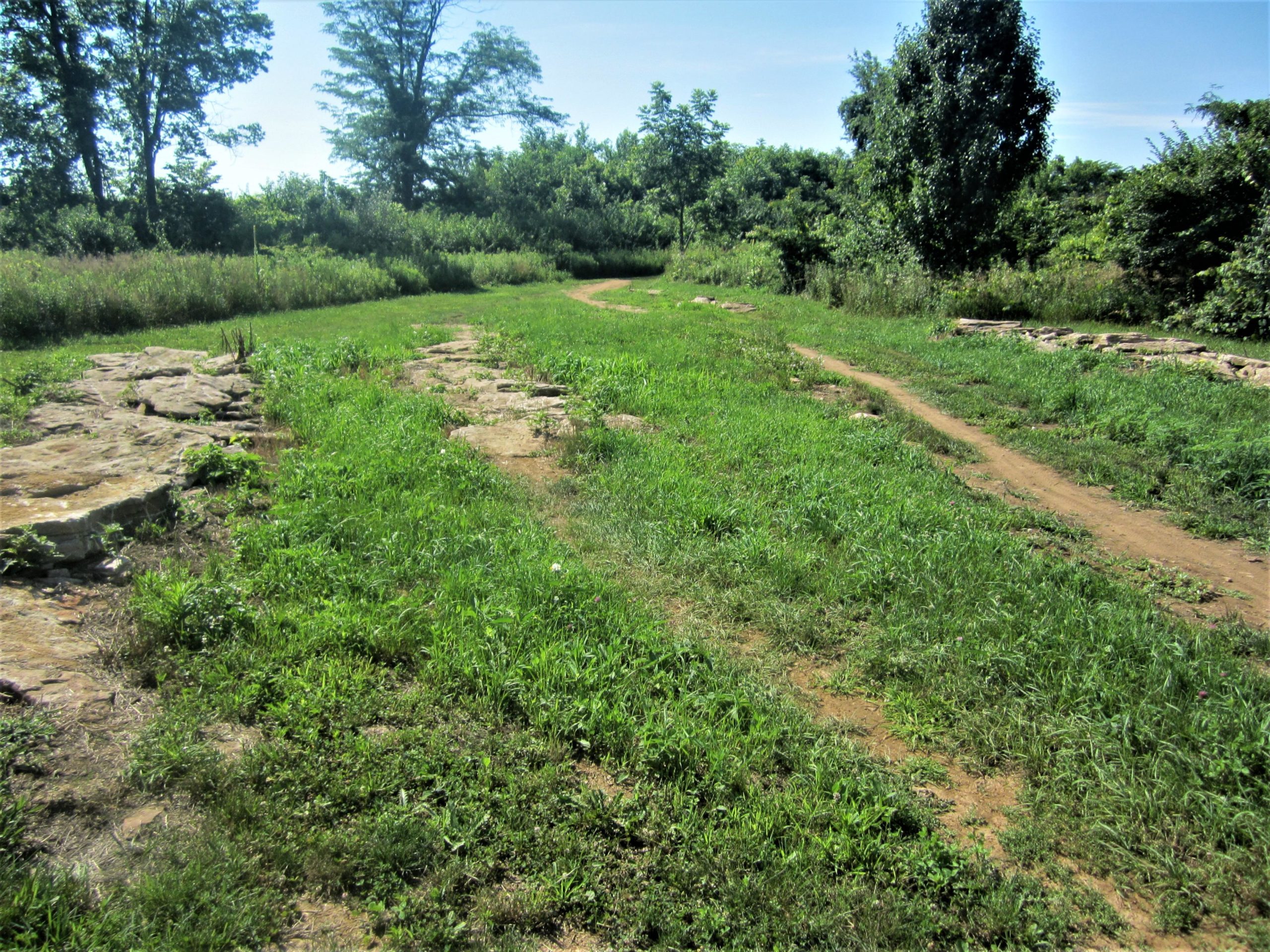 A scenic view of a grassy pathway winding through a natural landscape, bordered by patches of stones and surrounded by trees and foliage under a clear blue sky. MoMBA @ Huffman MetroPark mountain bike trail.