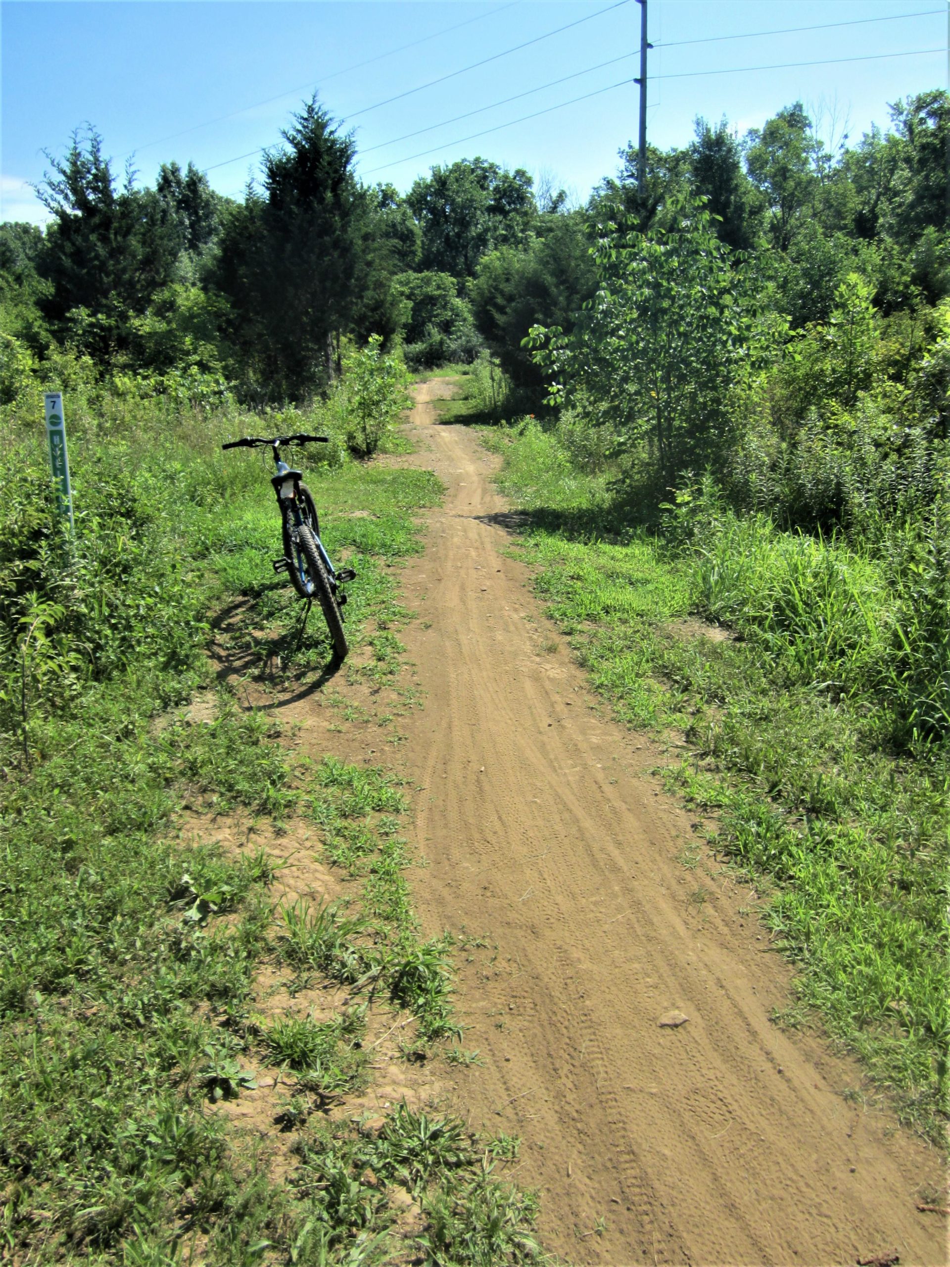A dirt biking trail surrounded by lush greenery, with a mountain bike leaning against a tree on the left side of the path. The trail is illuminated by bright sunlight, and power lines are visible in the background. MoMBA @ Huffman MetroPark mountain bike trail.