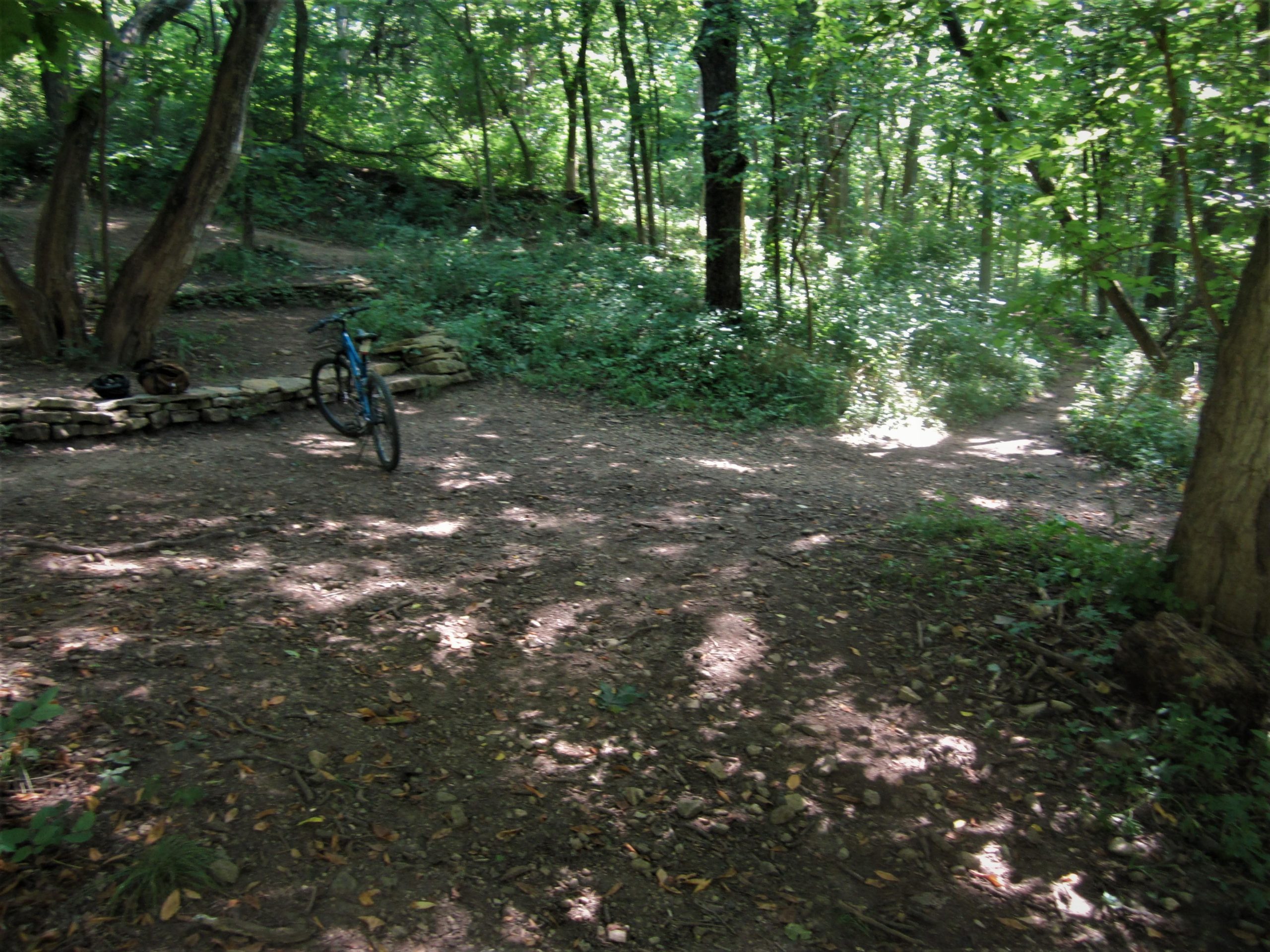 A blue mountain bike rests against a stone wall in a wooded area, with sunlight filtering through the trees. The path diverges into two trail options, surrounded by lush greenery and dappled shadows on the ground. MoMBA @ Huffman MetroPark mountain bike trail.