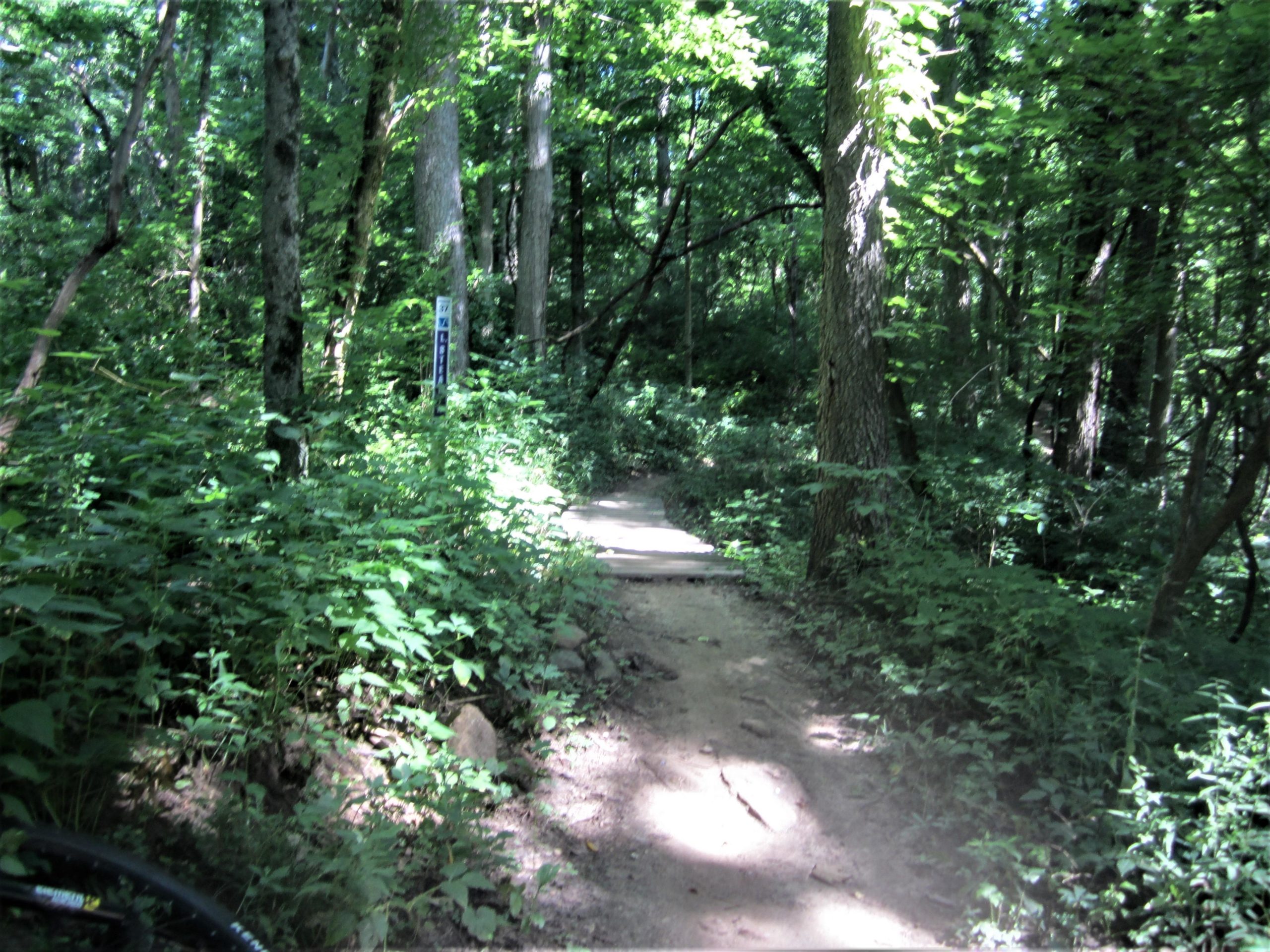 A narrow dirt path winding through a lush green forest, surrounded by tall trees and dense underbrush. A trail marker is visible in the background, indicating the direction of the path. Sunlight filters through the leaves, creating a dappled effect on the ground. MoMBA @ Huffman MetroPark mountain bike trail.