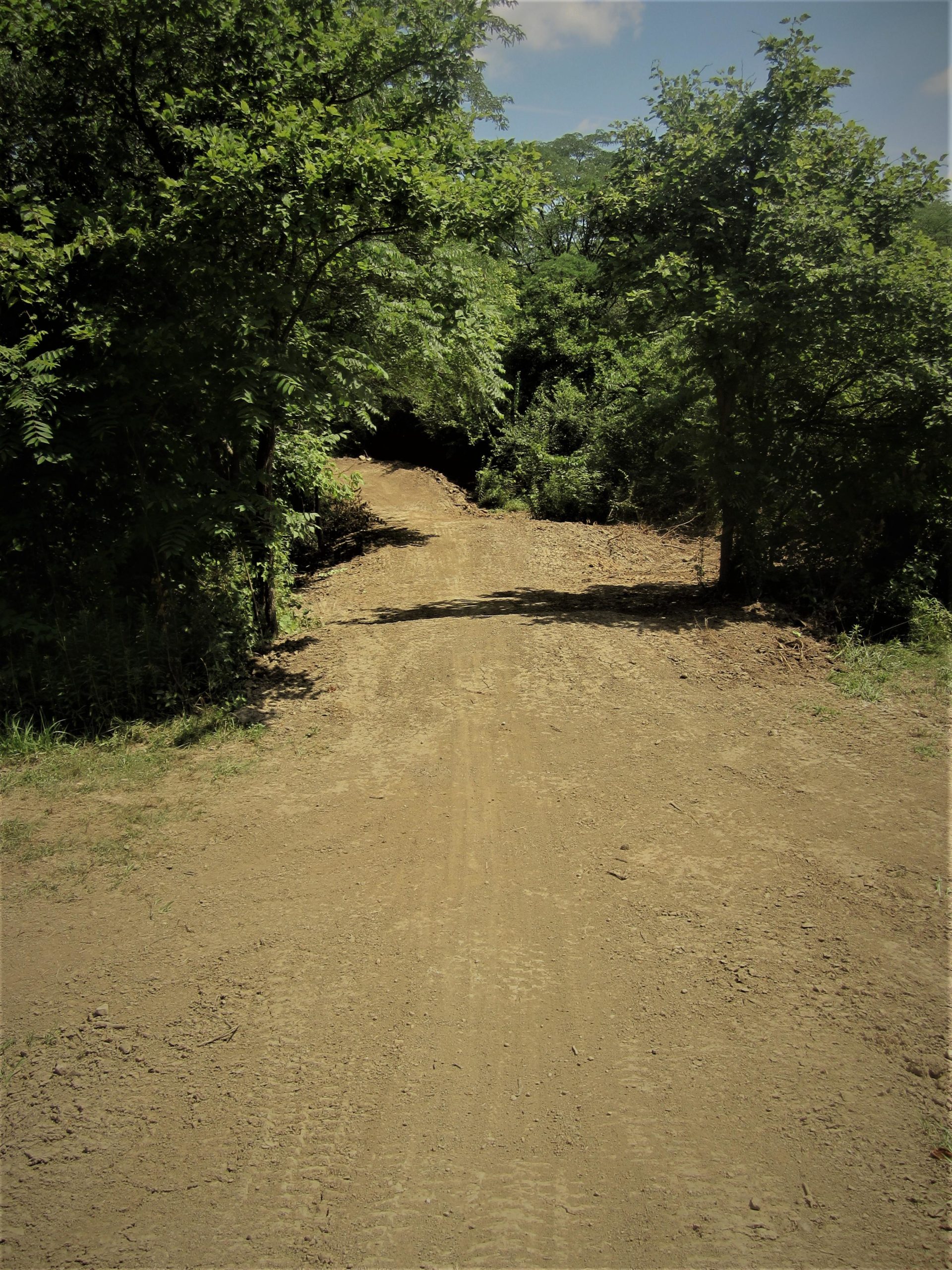 A dirt path winding through dense greenery, with trees lining both sides and a clear blue sky overhead. The path leads into a shaded area, suggesting a transition from an open space to a more secluded forested region. MoMBA @ Huffman MetroPark mountain bike trail.