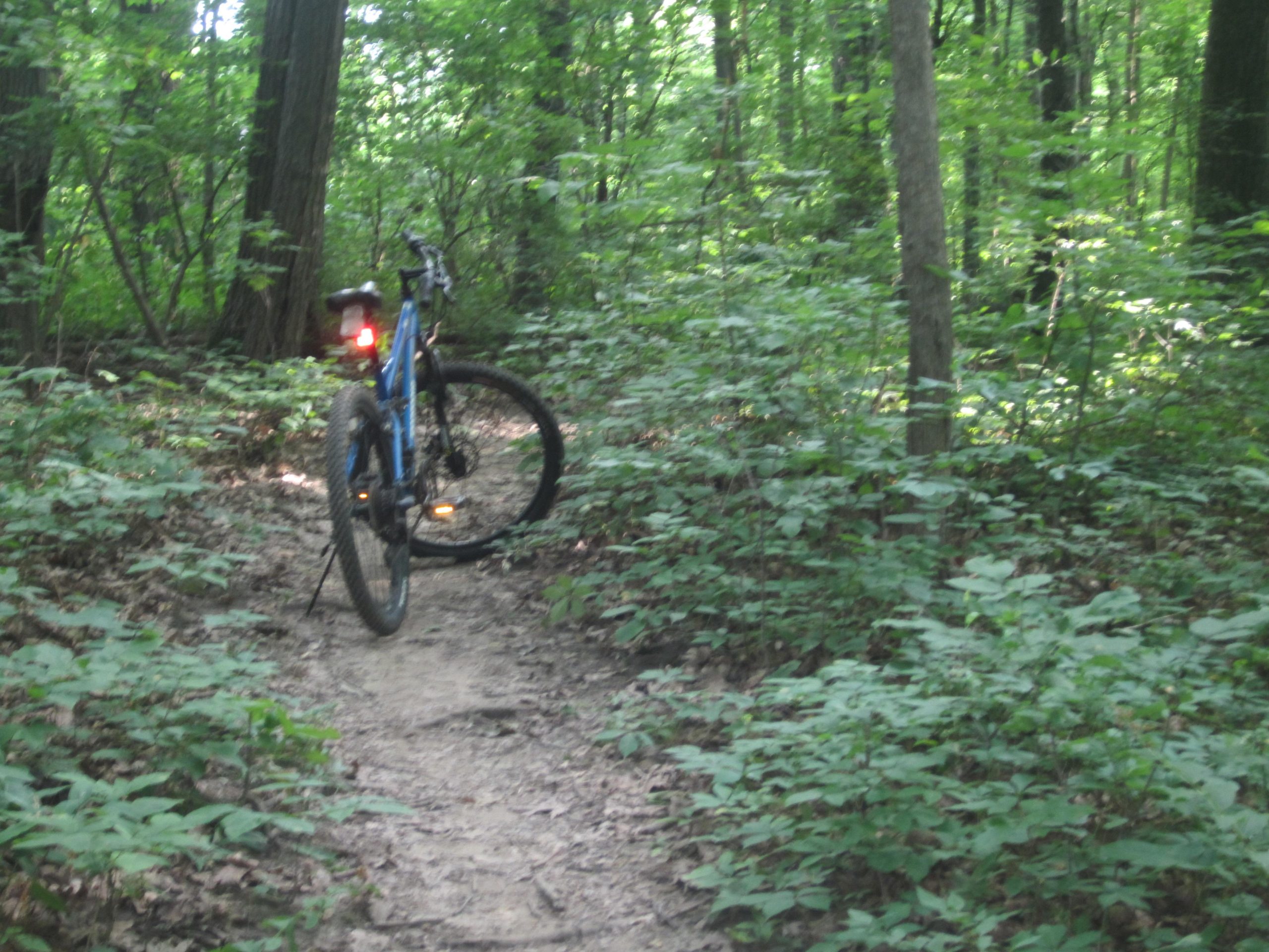 A blue mountain bike is positioned on a narrow dirt trail surrounded by lush green vegetation and trees in a forest setting. The bike's rear light is illuminated, indicating it may be parked or stopped in the shaded area. Franke Park mountain bike trail.