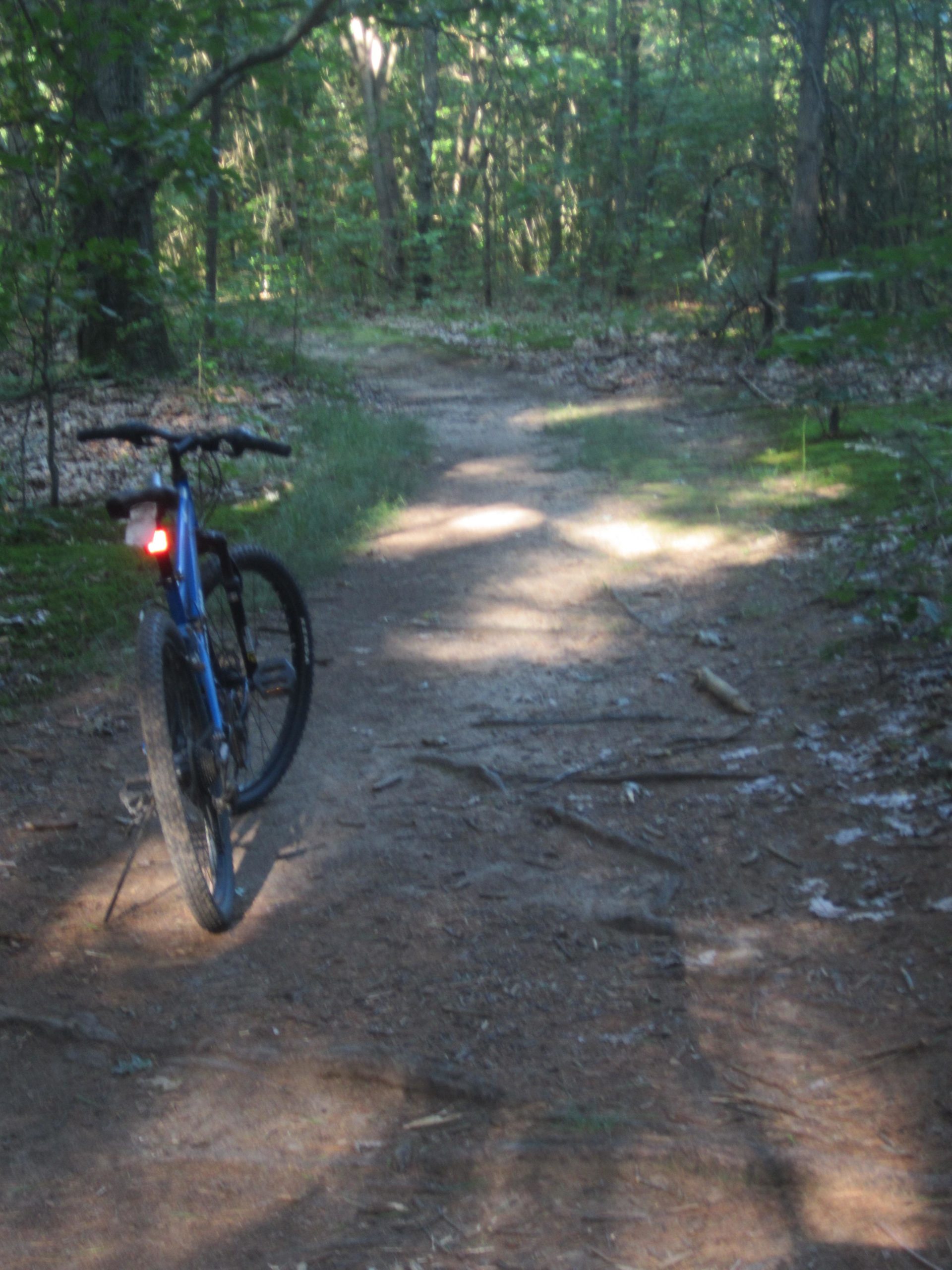 A blue mountain bike parked on a dirt path winding through a wooded area, surrounded by trees and scattered leaves. Sunlight filters through the foliage, casting soft shadows on the ground. Al Sabo mountain bike trail.