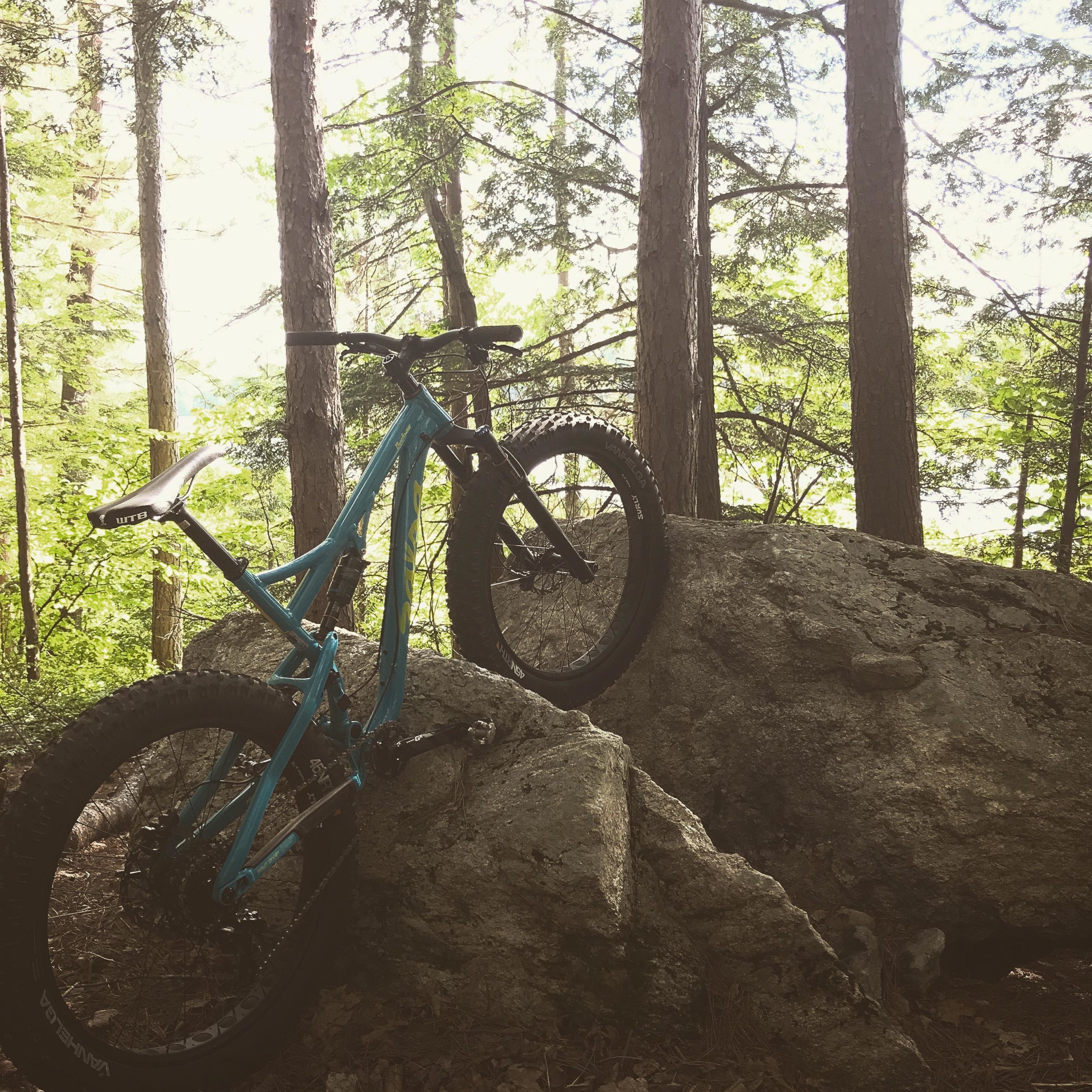 A blue mountain bike positioned on a large rock, surrounded by dense trees and greenery in a forest setting. The sunlight filters through the treetops, creating a natural and adventurous atmosphere. Annett trail mountain bike trail.