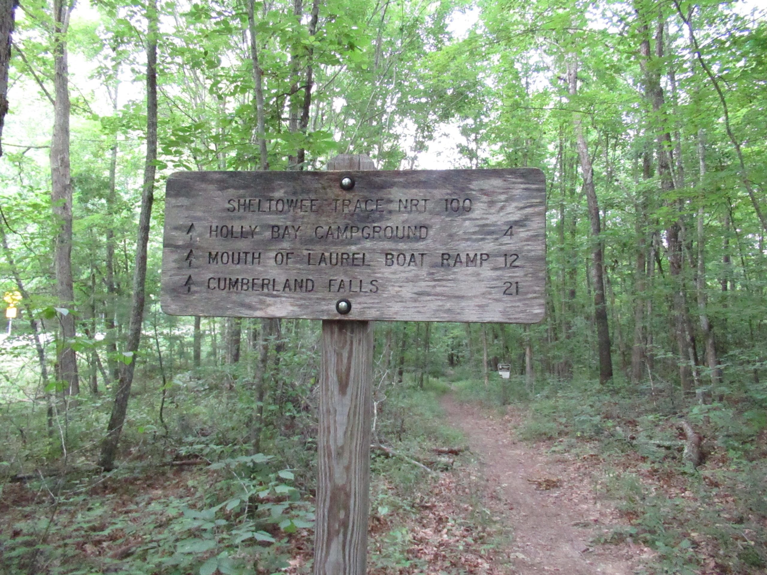 A weathered wooden sign in a forested area, displaying directional information for the Sheltowee Trace National Recreation Trail (NRT 100), with distance markers indicating the following locations: Holly Bay Campground (4 miles), Mouth of Laurel Boat Ramp (12 miles), and Cumberland Falls (21 miles). The surrounding area features lush green trees and foliage. Cane Creek (sheltowee Trace Trail) mountain bike trail.