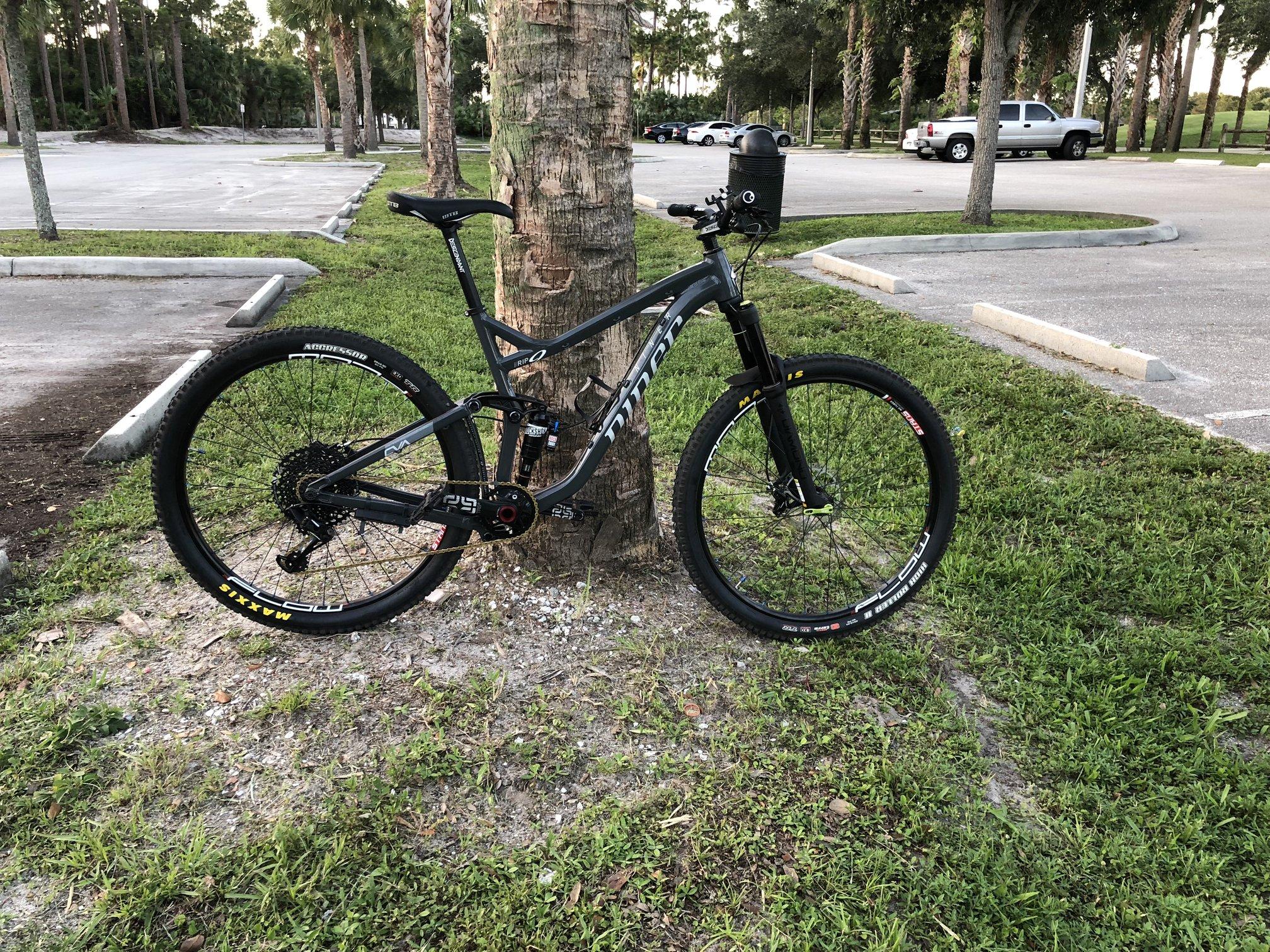 Niner RIP 9: A black mountain bike is leaned against a palm tree in a grassy area near an empty parking lot. The bike features thick tires suitable for off-road riding and has a sleek design, with visible gears and suspension components. The background includes additional trees and parking spaces.