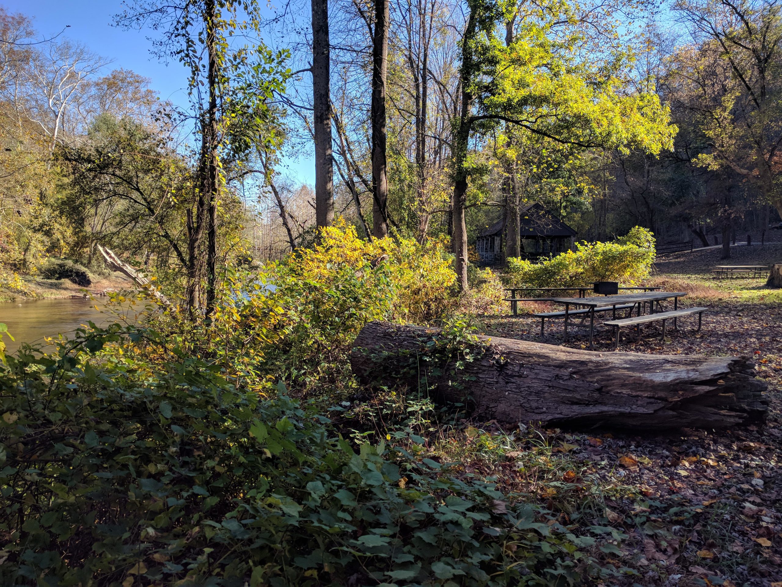 A serene riverside scene featuring lush greenery, a fallen tree trunk, and picnic tables under the trees. In the background, a gazebo can be seen, surrounded by autumn foliage and clear blue skies. Patapsco Valley State Park (Avalon Area) mountain bike trail.