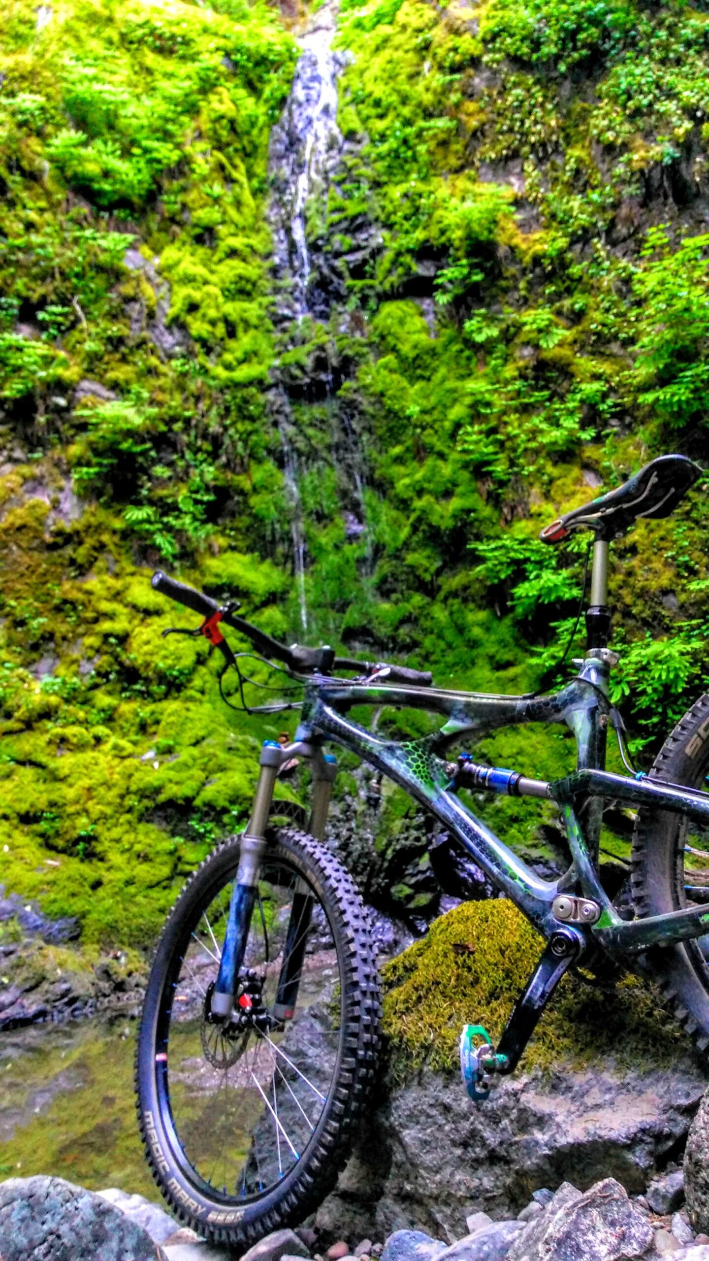 Ibis Mojo SL-R: A mountain bike is positioned near a small waterfall, surrounded by lush green moss and ferns on rocky terrain. The bike’s front wheel is partially submerged in a shallow stream, and the backdrop features vibrant vegetation and cascading water.