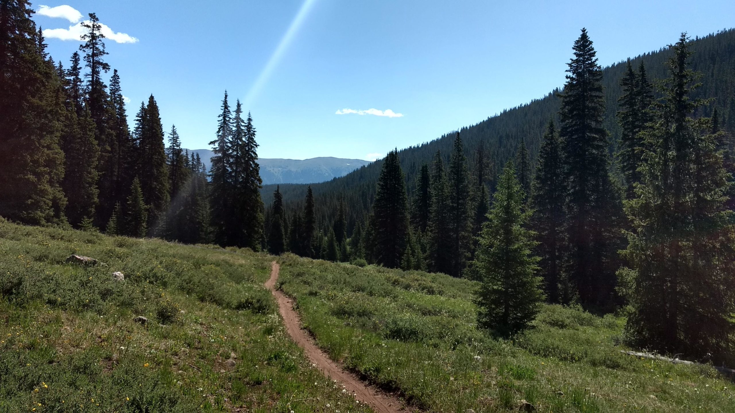 A winding dirt trail cuts through a lush green meadow surrounded by tall evergreen trees, under a clear blue sky with a few clouds. In the background, mountainous terrain is visible, creating a serene natural landscape. Colorado Trail: Searle Pass and Kokomo Pass (Copper Mountain to Camp Hale) mountain bike trail.