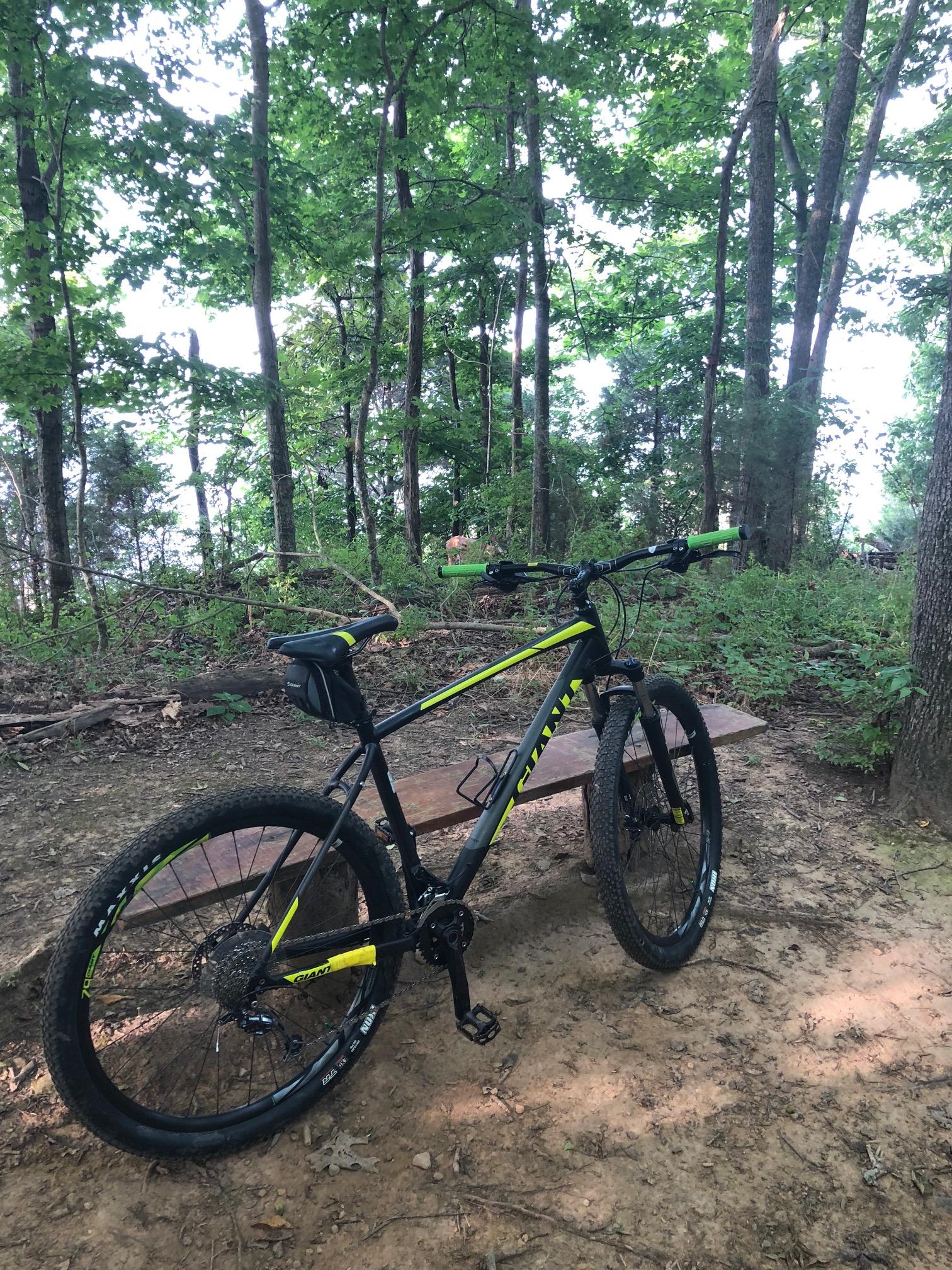 A black and yellow mountain bike is parked on a dirt trail surrounded by lush green trees. In the background, a wooden bench is visible. The scene is peaceful and indicative of a forested outdoor area, ideal for biking and nature activities. Lock 4 mountain bike trail.