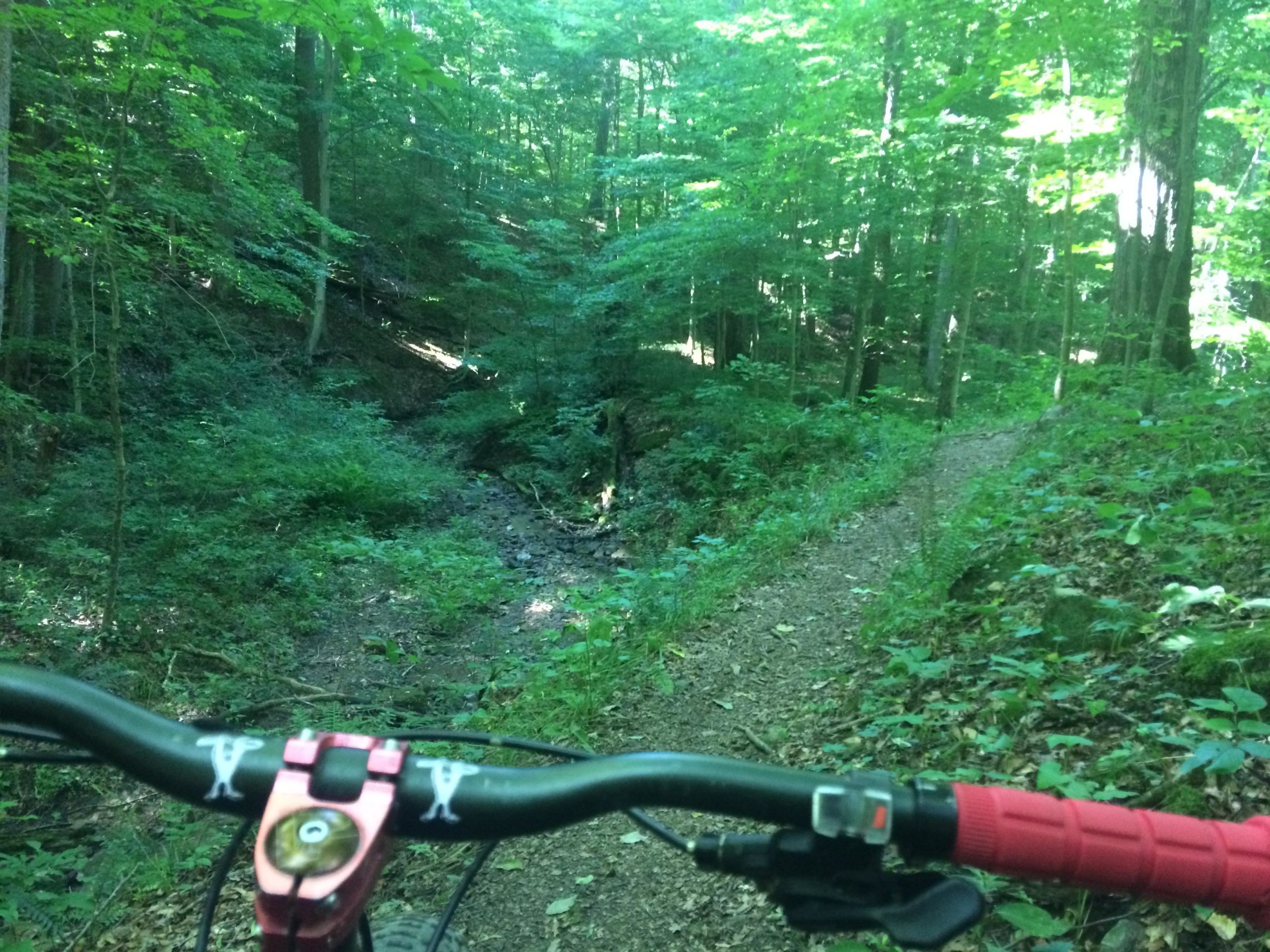 A view from the handlebars of a mountain bike, with a narrow trail winding through a lush green forest. The surroundings include dense vegetation and trees, along with a small creek visible in the background. Sunlight filters through the leaves, creating a vibrant and serene atmosphere. Dillon State Park mountain bike trail.